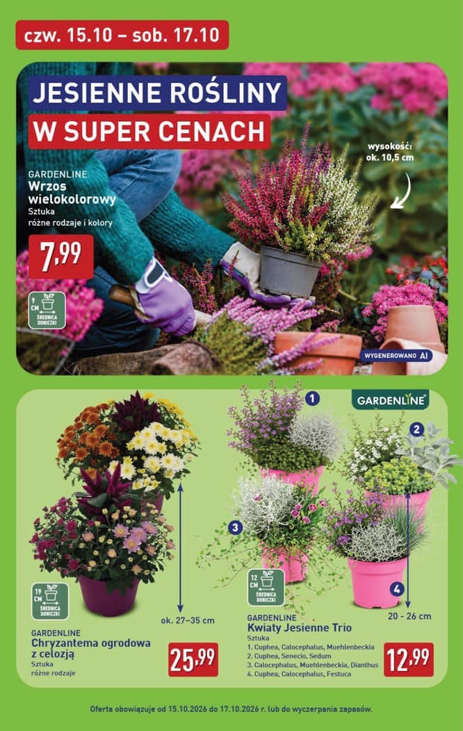 Aldi - Oferta weekendowa od czwartku 15.10 do soboty 17.10 6 puslapis