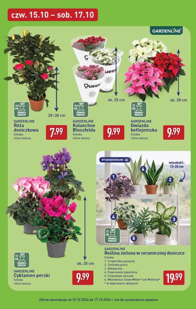 Aldi - Oferta weekendowa od czwartku 15.10 do soboty 17.10 7 puslapis