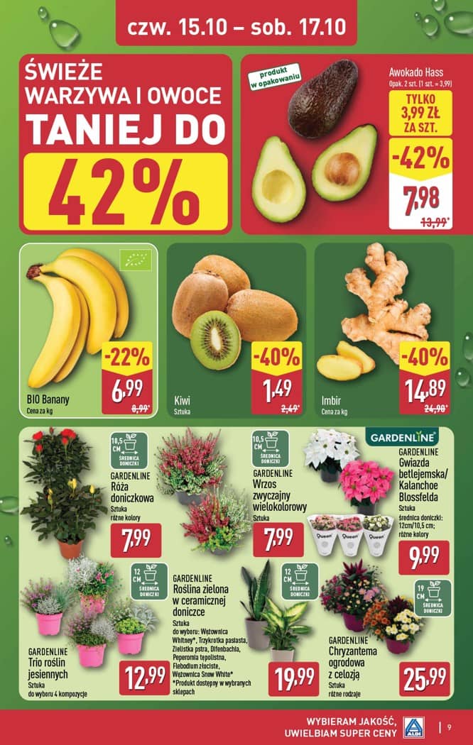 Aldi - Oferta weekendowa od czwartku 15.10 do soboty 17.10 9 puslapis