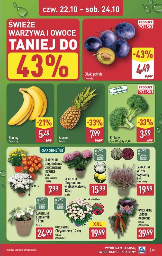 Aldi - Pełna oferta od poniedziałku 19.10 do soboty 24.10 41 puslapis