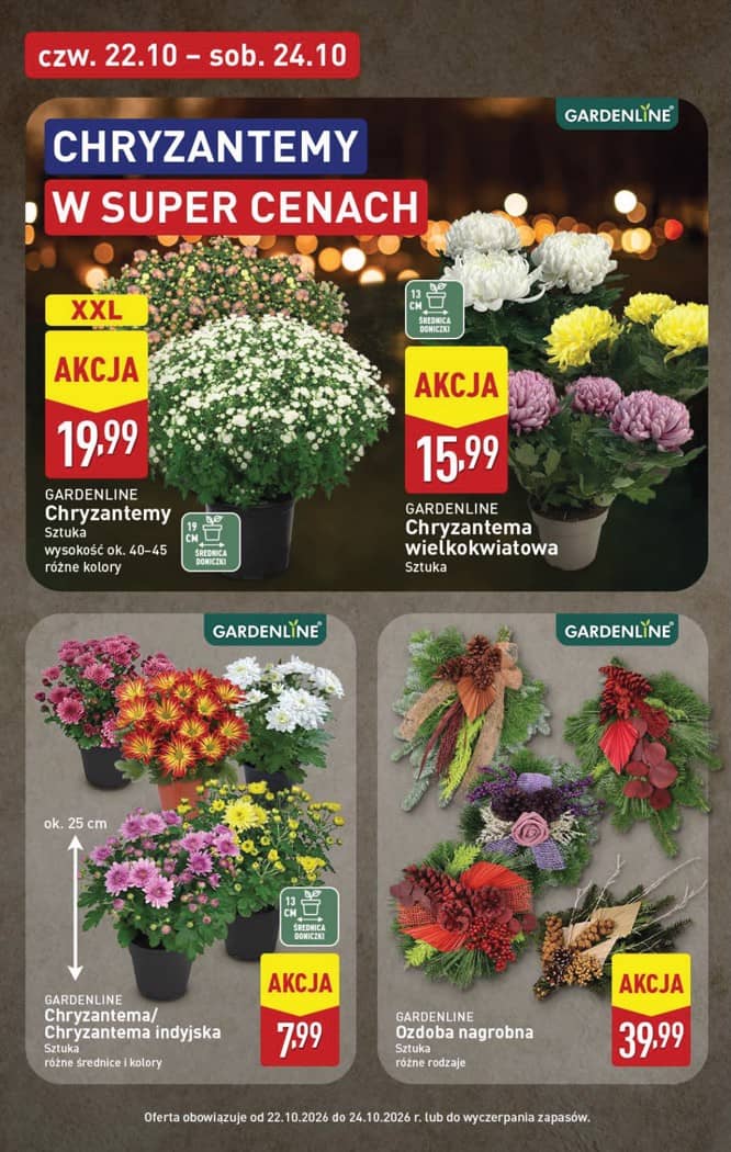 Aldi - Pełna oferta od poniedziałku 19.10 do soboty 24.10 42 puslapis
