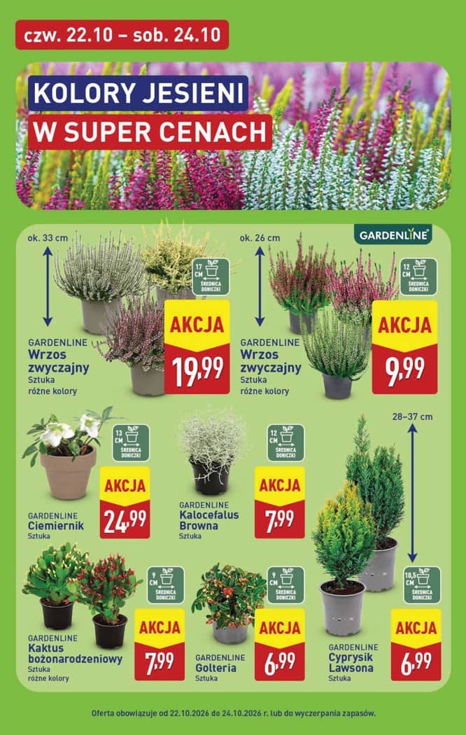 Aldi - Pełna oferta od poniedziałku 19.10 do soboty 24.10 43 puslapis