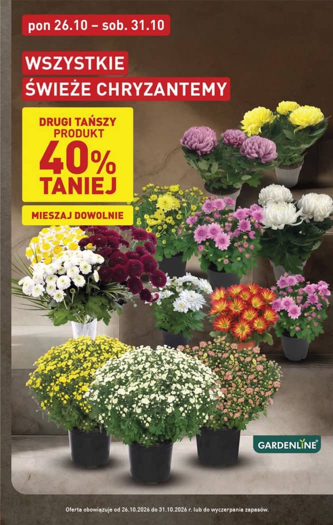 Aldi - Pełna oferta od poniedziałku 26.10 do soboty 31.10 3 puslapis