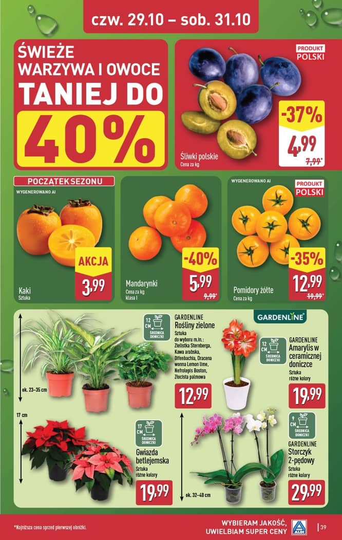 Aldi - Pełna oferta od poniedziałku 26.10 do soboty 31.10 39 puslapis