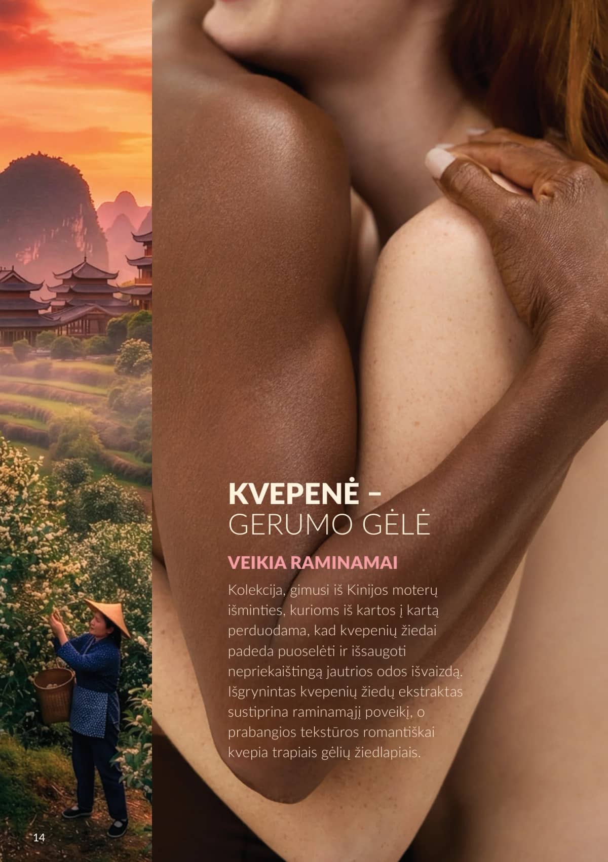 Avon - Avon katalogas C10 2026 14 puslapis