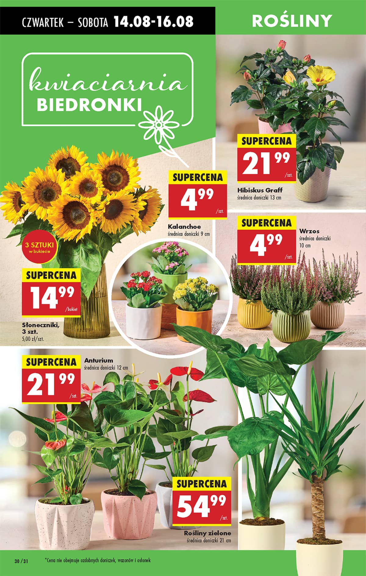 Biedronka - Biedronki niskie ceny P oferta od 14.08 40 puslapis