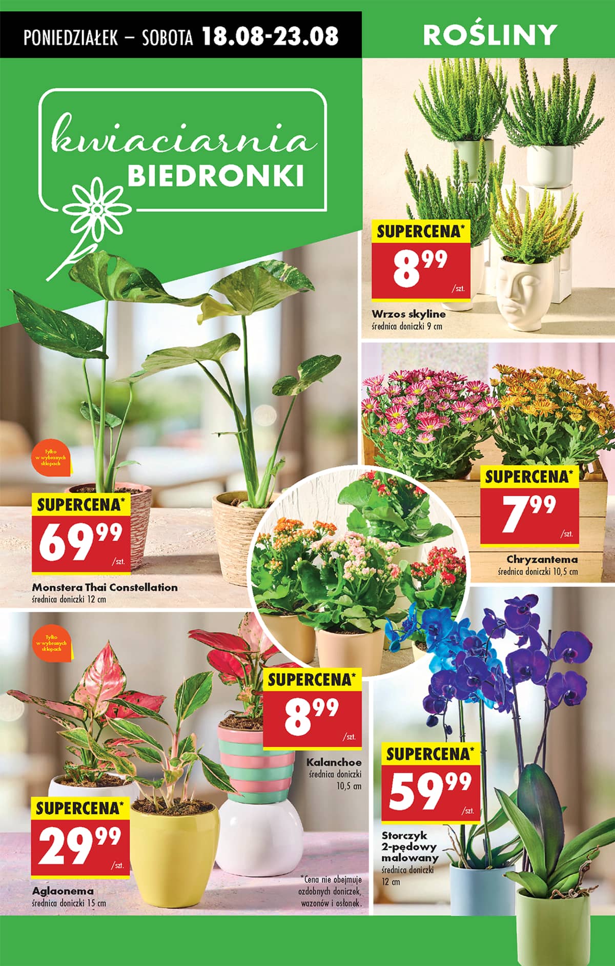 Biedronka - Biedronki niskie ceny P oferta od 18.08 69 puslapis