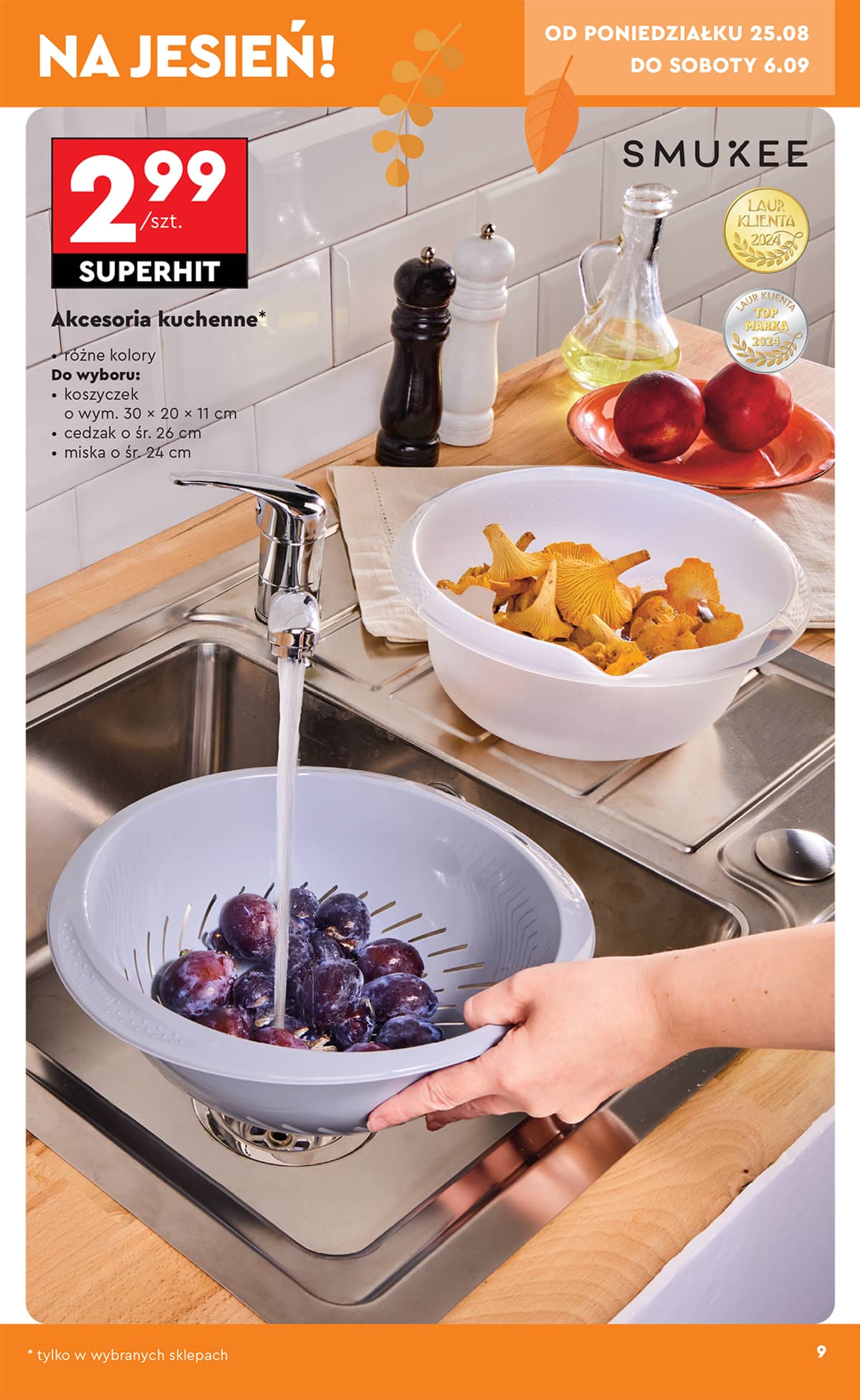 Biedronka - Hity i inspiracje - 25.08 13 puslapis
