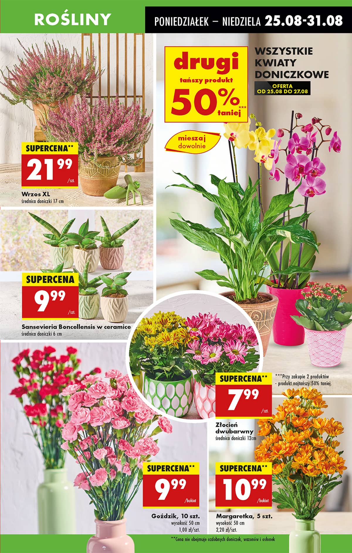 Biedronka - Biedronki niskie ceny P oferta od 25.08 21 puslapis