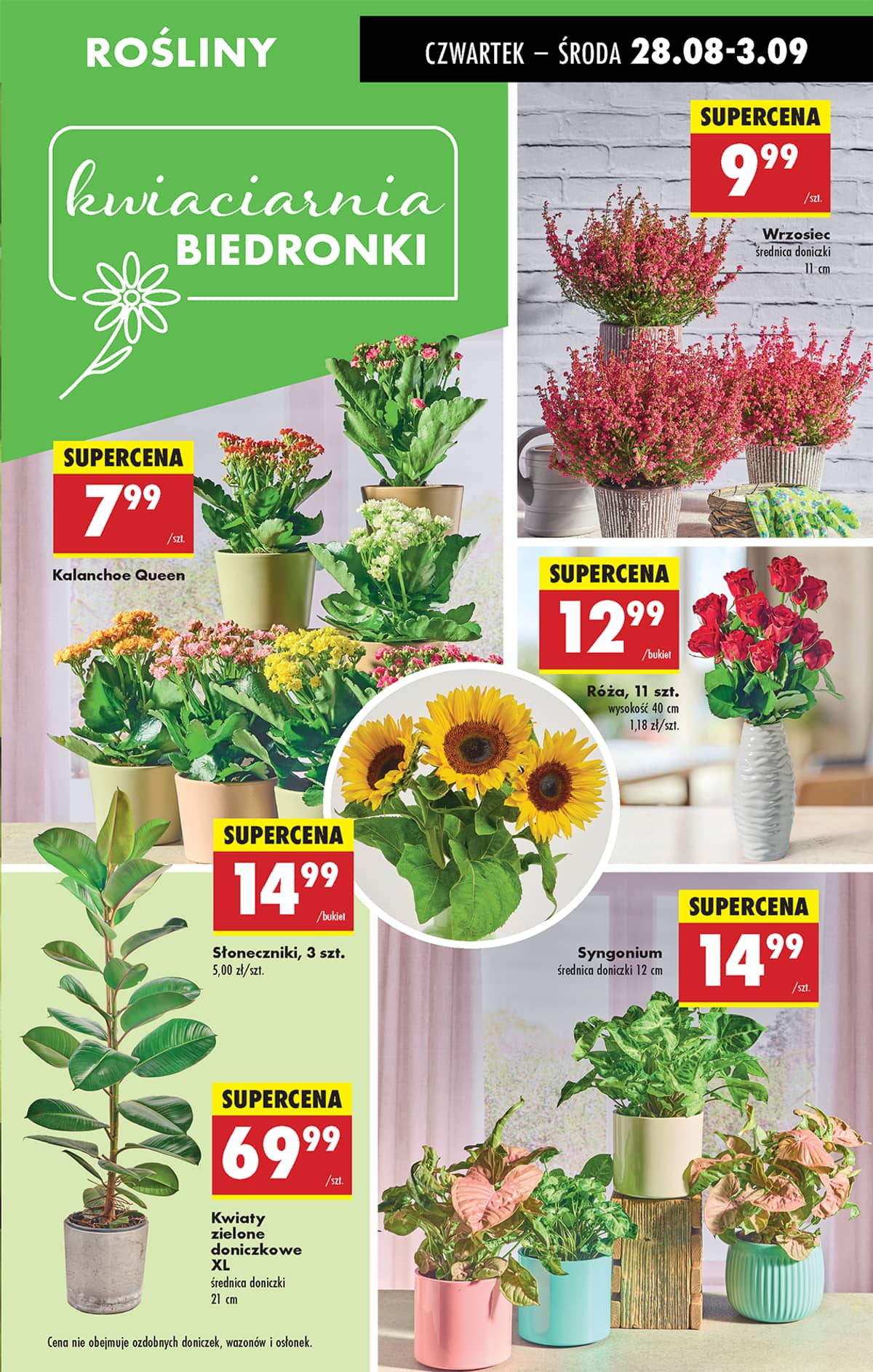 Biedronka - Biedronki niskie ceny P oferta od 28.08 31 puslapis