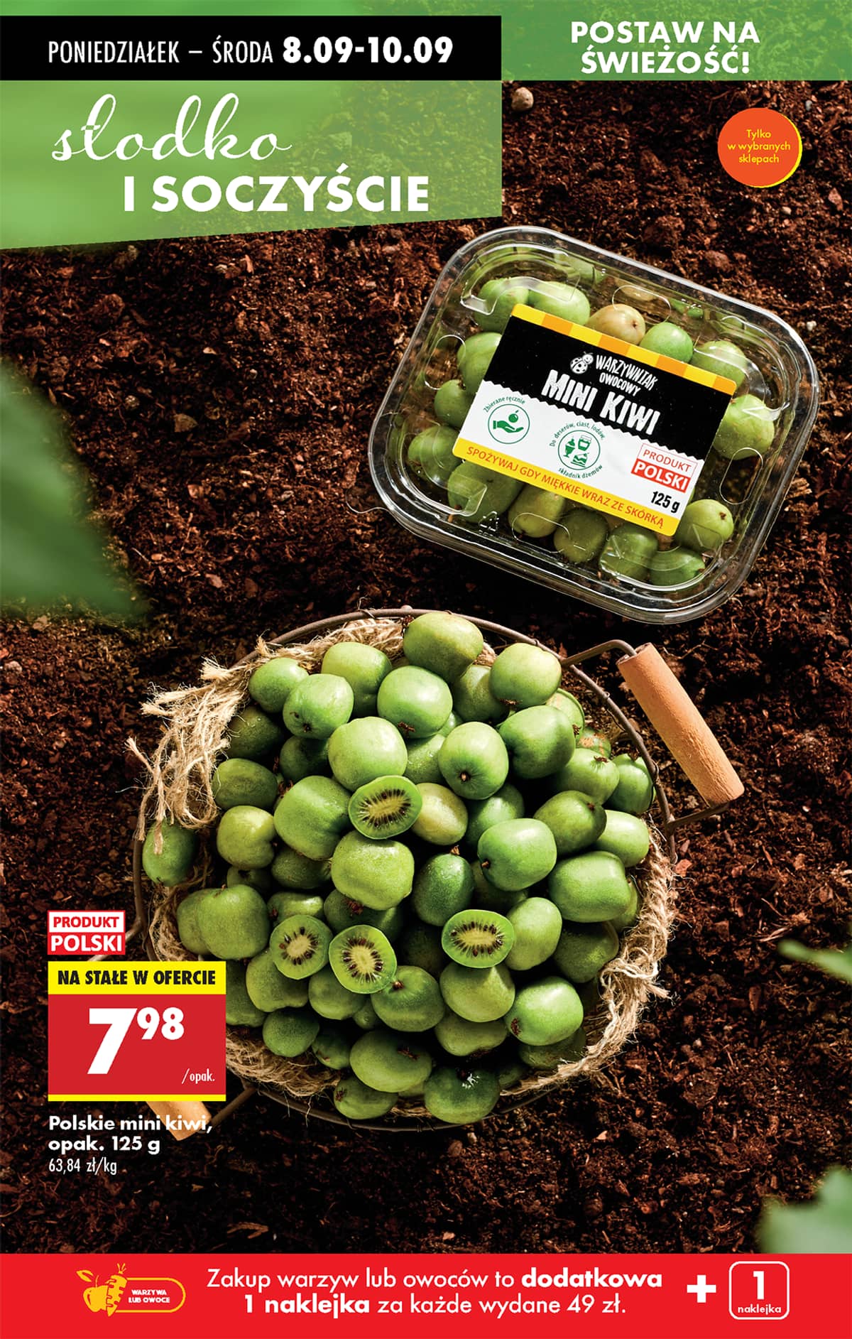 Biedronka - Biedronki niskie ceny P oferta od 08.09 20 puslapis