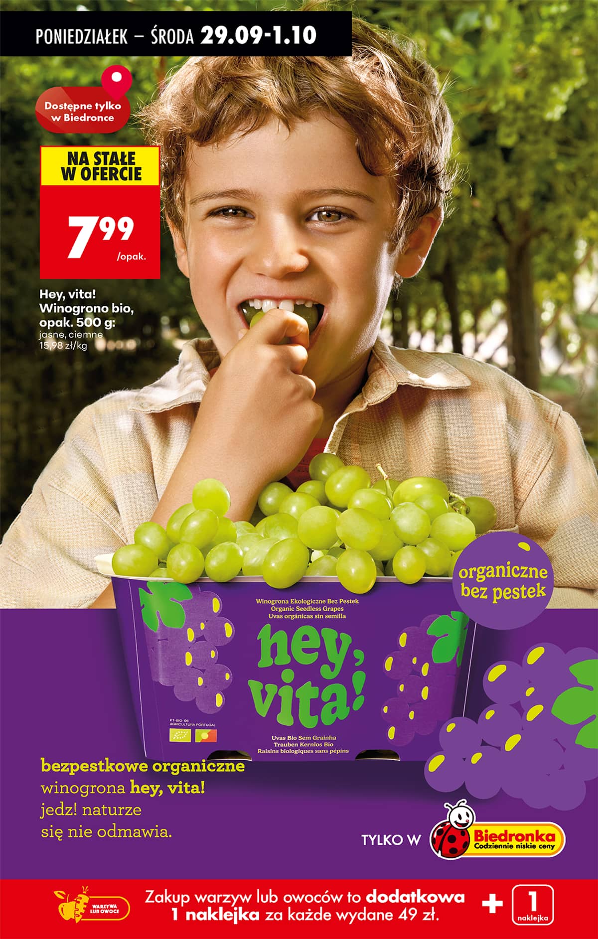 Biedronka - Biedronki niskie ceny P oferta od 29.09 24 puslapis