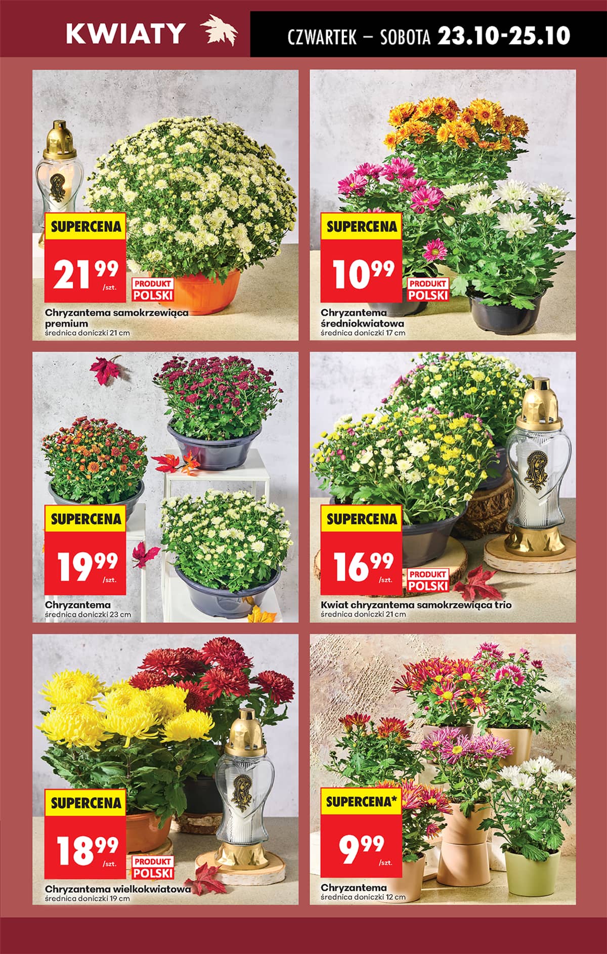 Biedronka - Biedronki niskie ceny P oferta od 23.10 21 puslapis