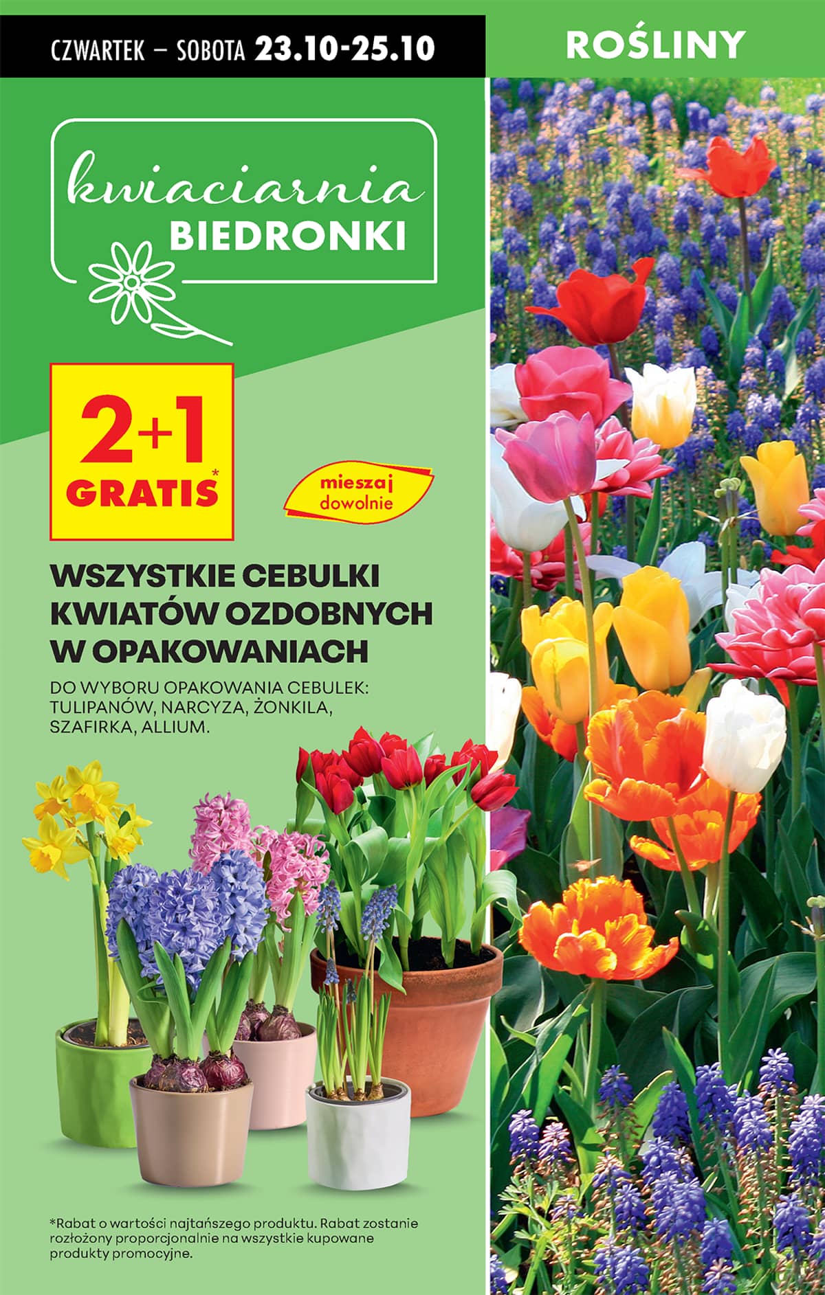 Biedronka - Biedronki niskie ceny P oferta od 23.10 23 puslapis