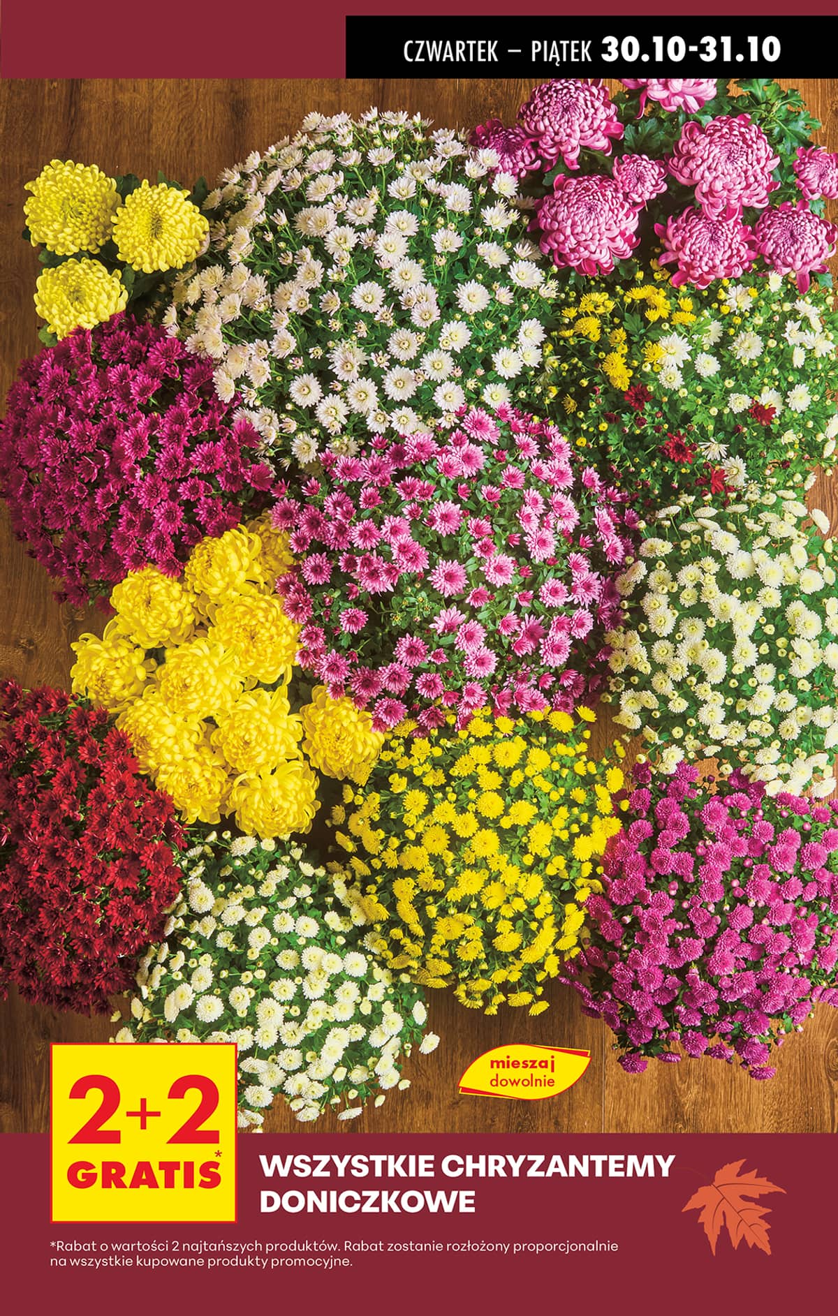 Biedronka - Kwiaty i znicze w Biedronce 3 puslapis