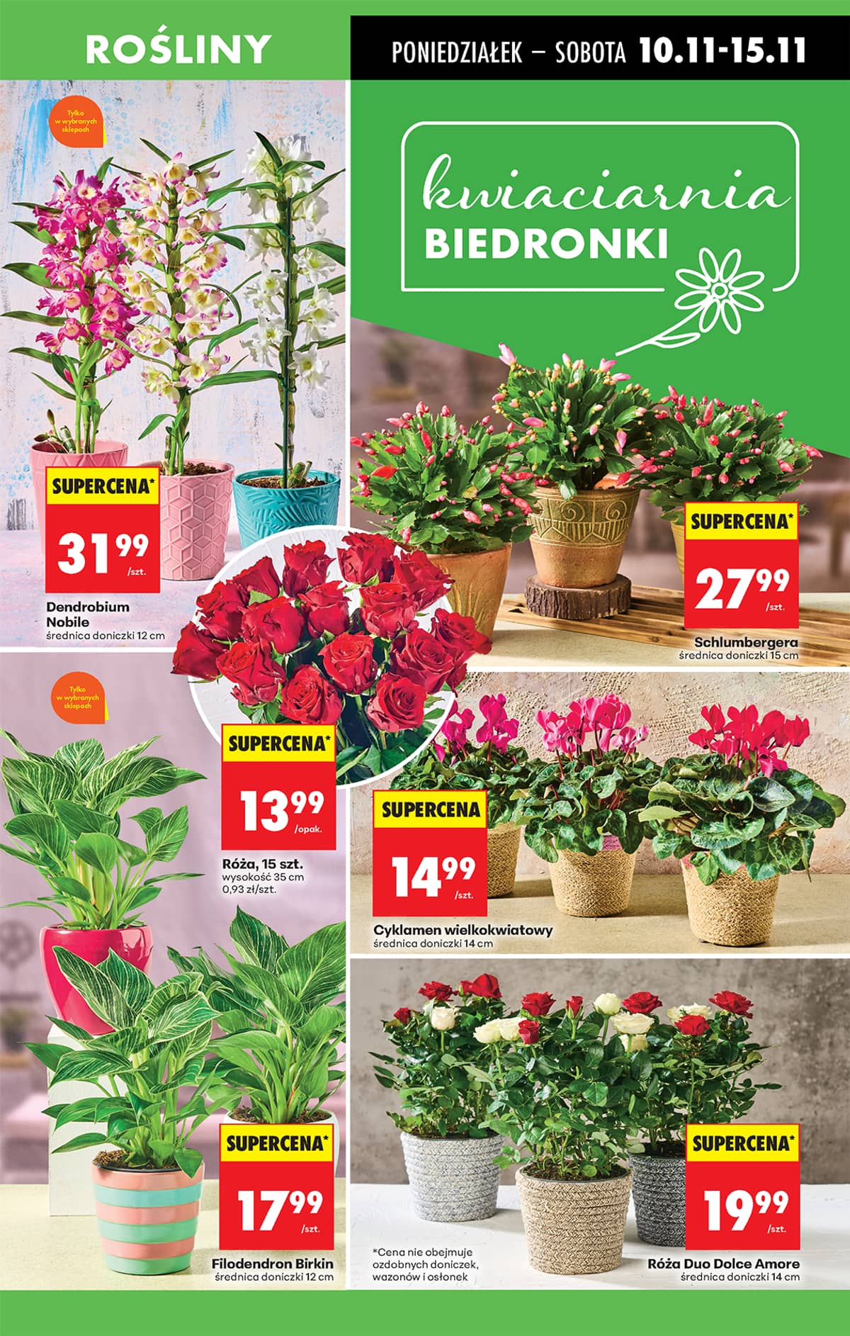 Biedronka - Biedronki niskie ceny P oferta od 10.11 20 puslapis