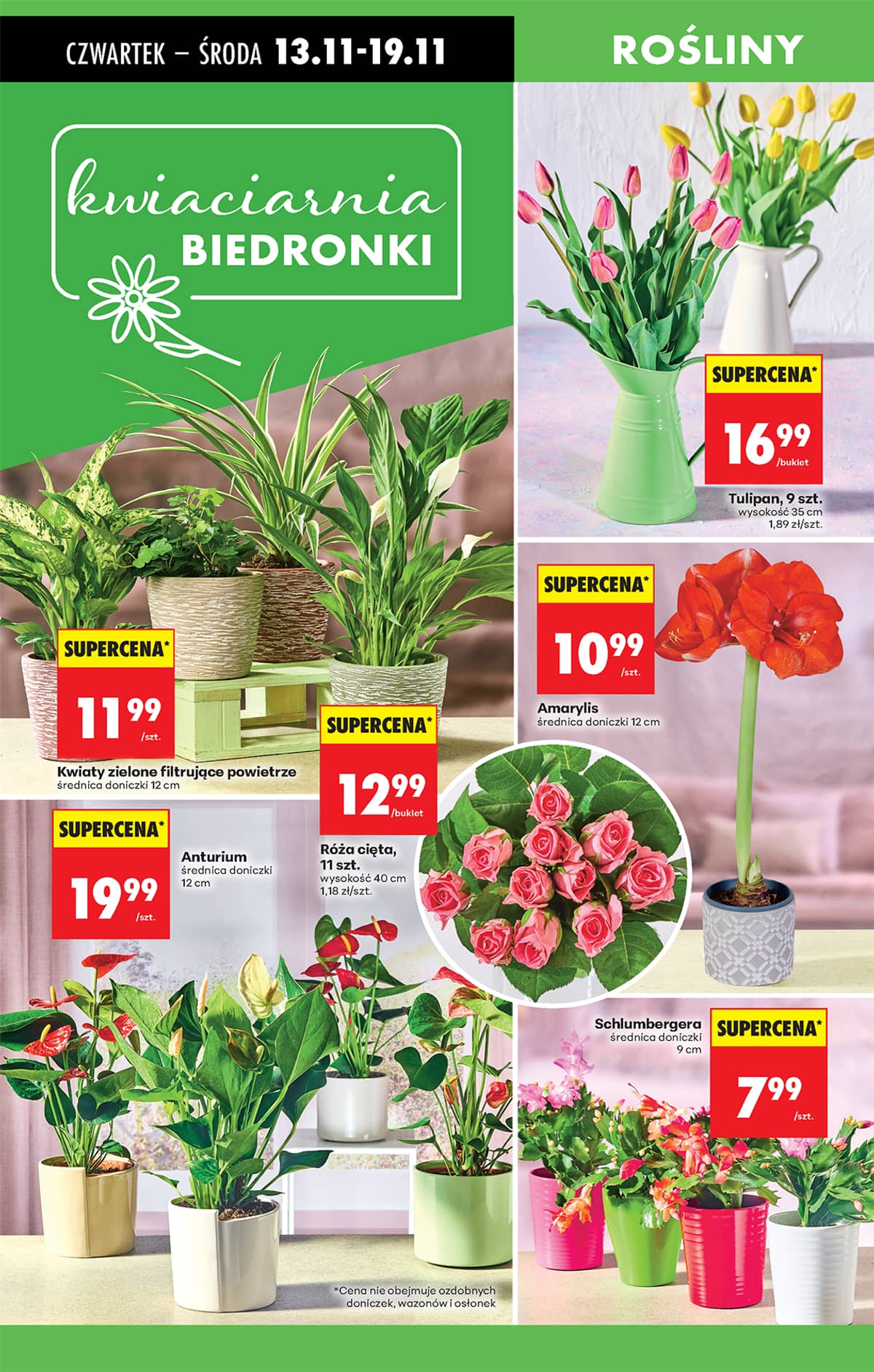 Biedronka - Biedronki niskie ceny P oferta od 13.11 83 puslapis