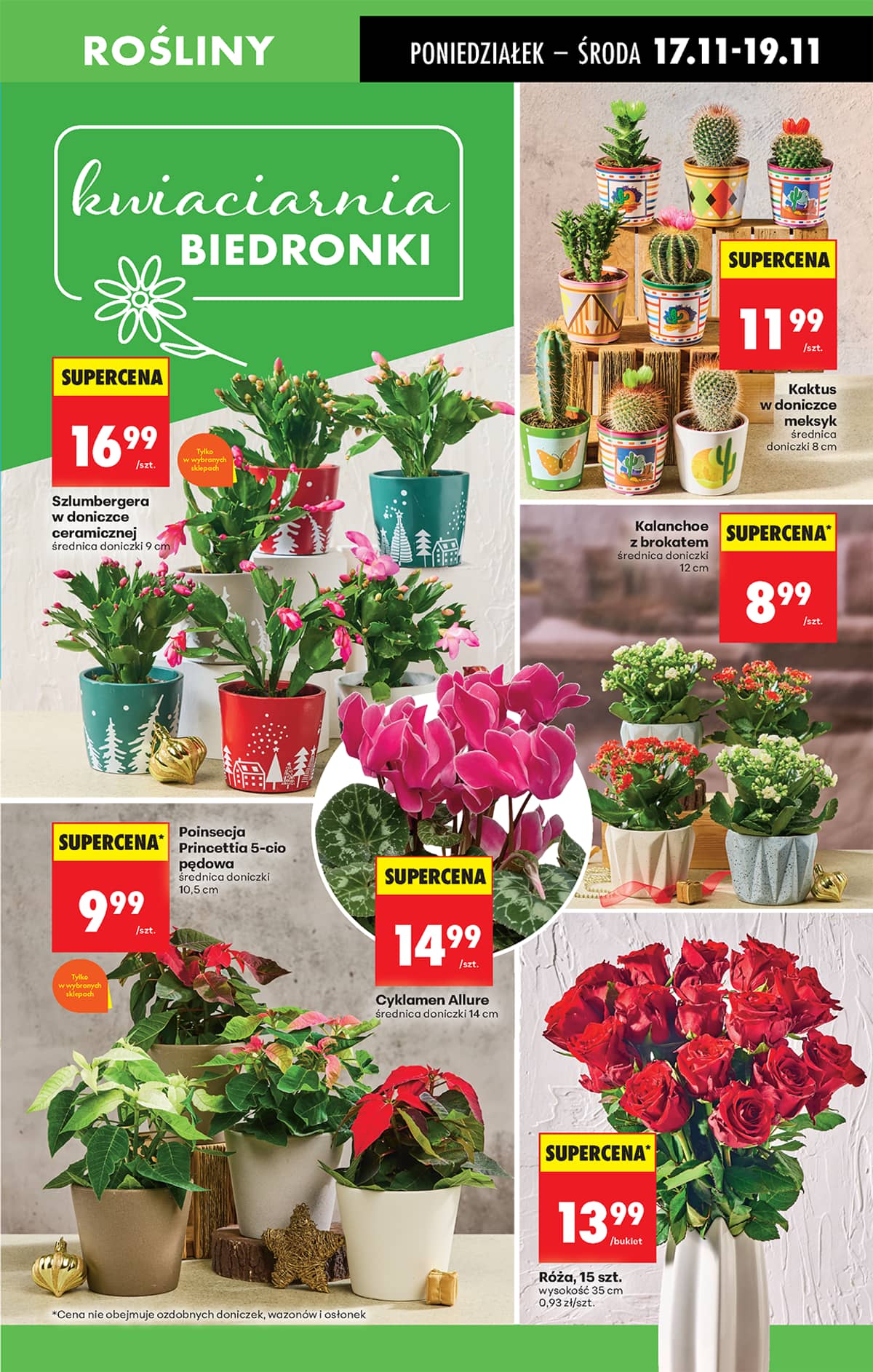 Biedronka - Biedronki niskie ceny P oferta od 17.11 25 puslapis