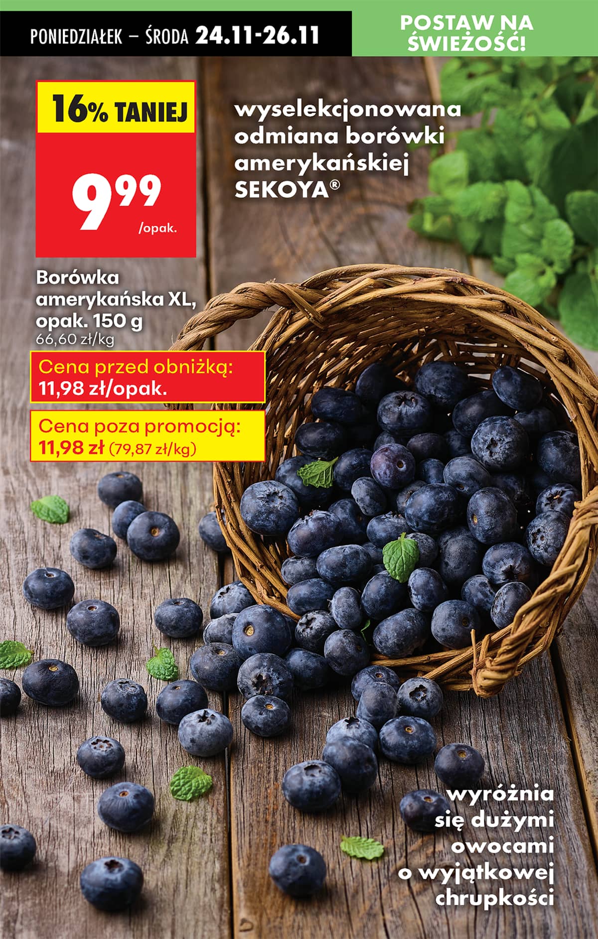 Biedronka - Biedronki niskie ceny P oferta od 24.11 34 puslapis