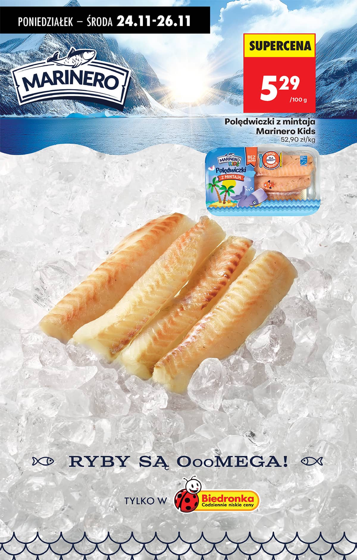 Biedronka - Biedronki niskie ceny P oferta od 24.11 46 puslapis