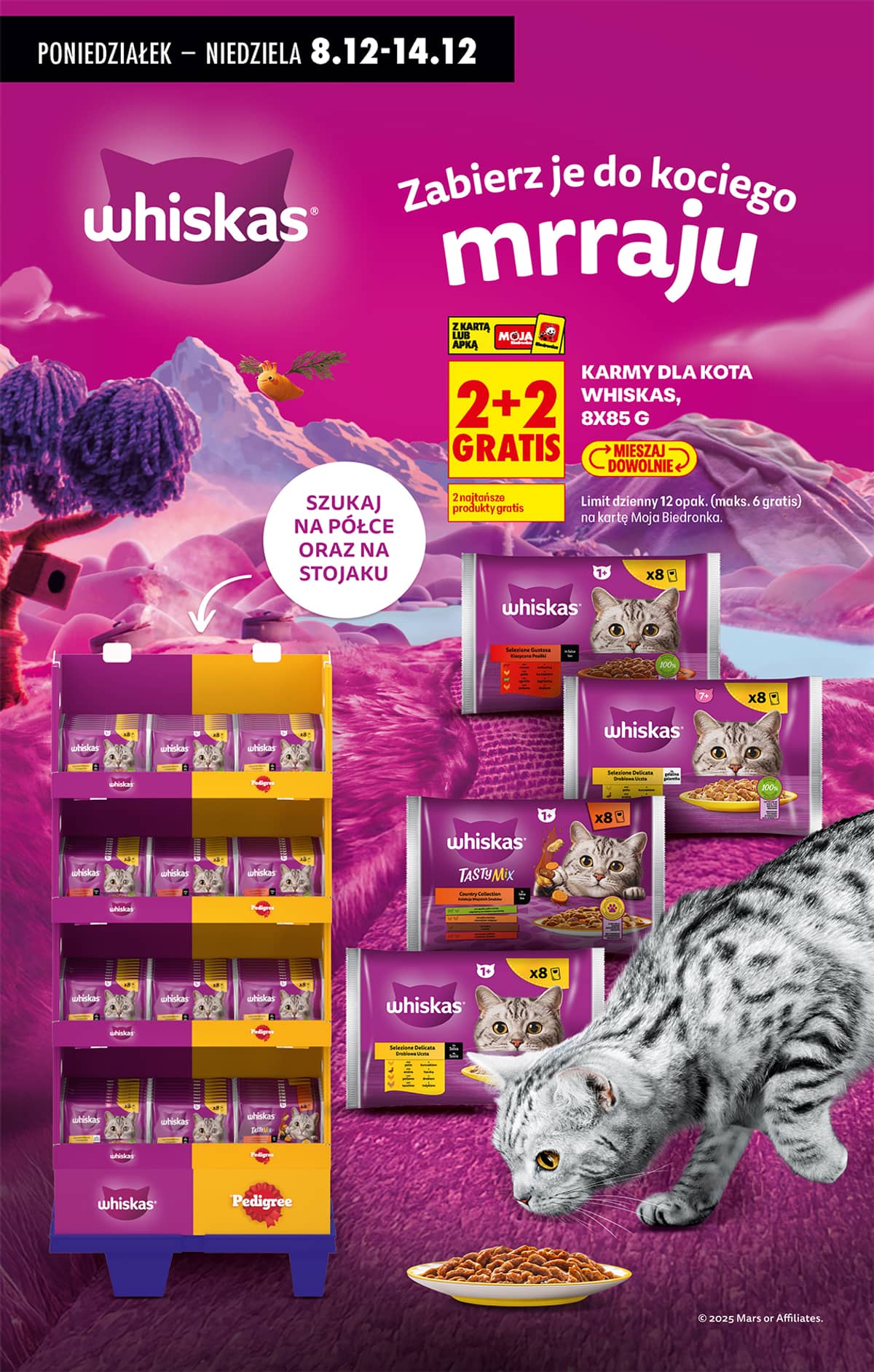 Biedronka - Biedronki niskie ceny P oferta od 08.12 94 puslapis