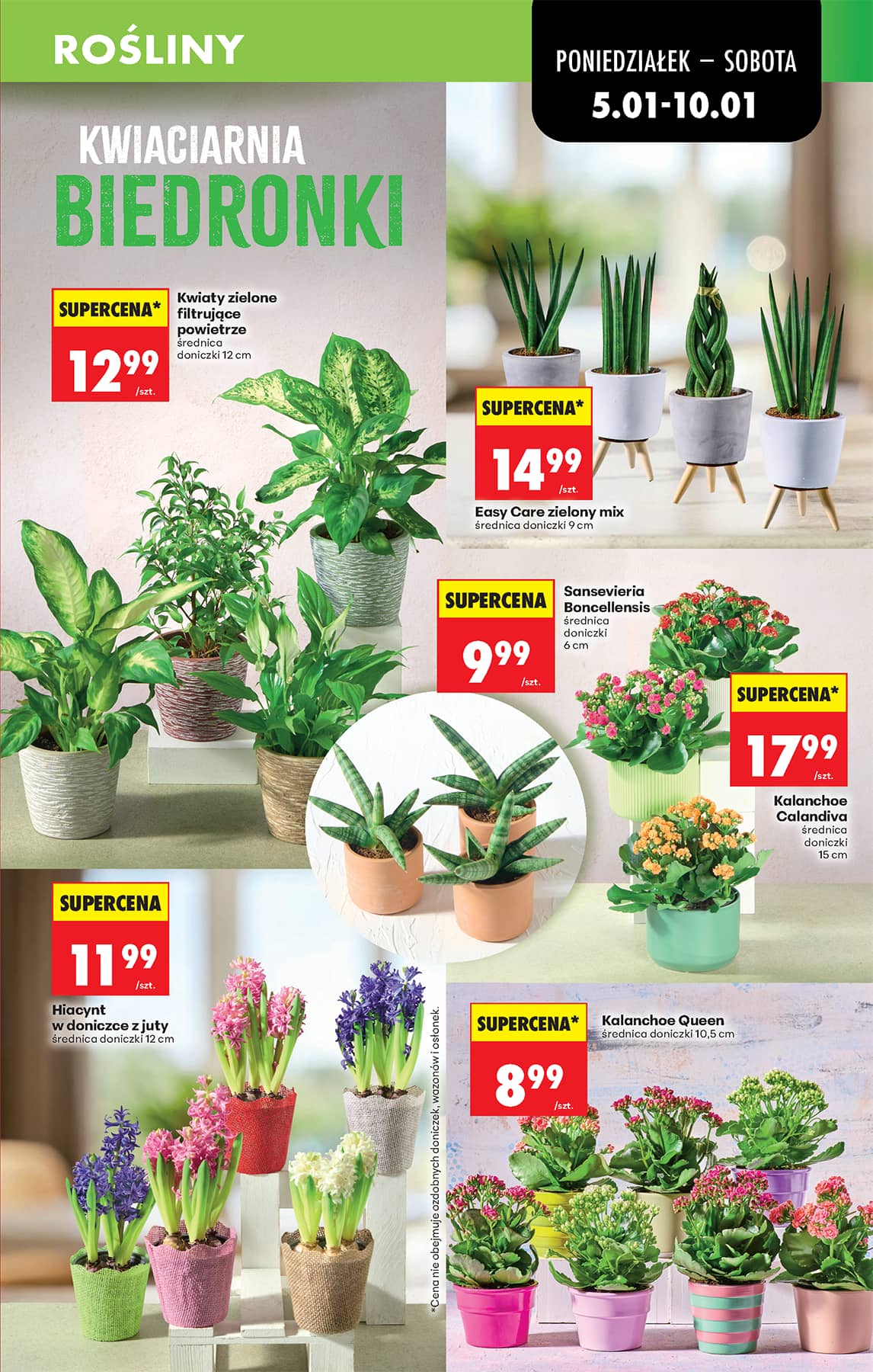 Biedronka - Biedronki niskie ceny P oferta od 05.01 27 puslapis