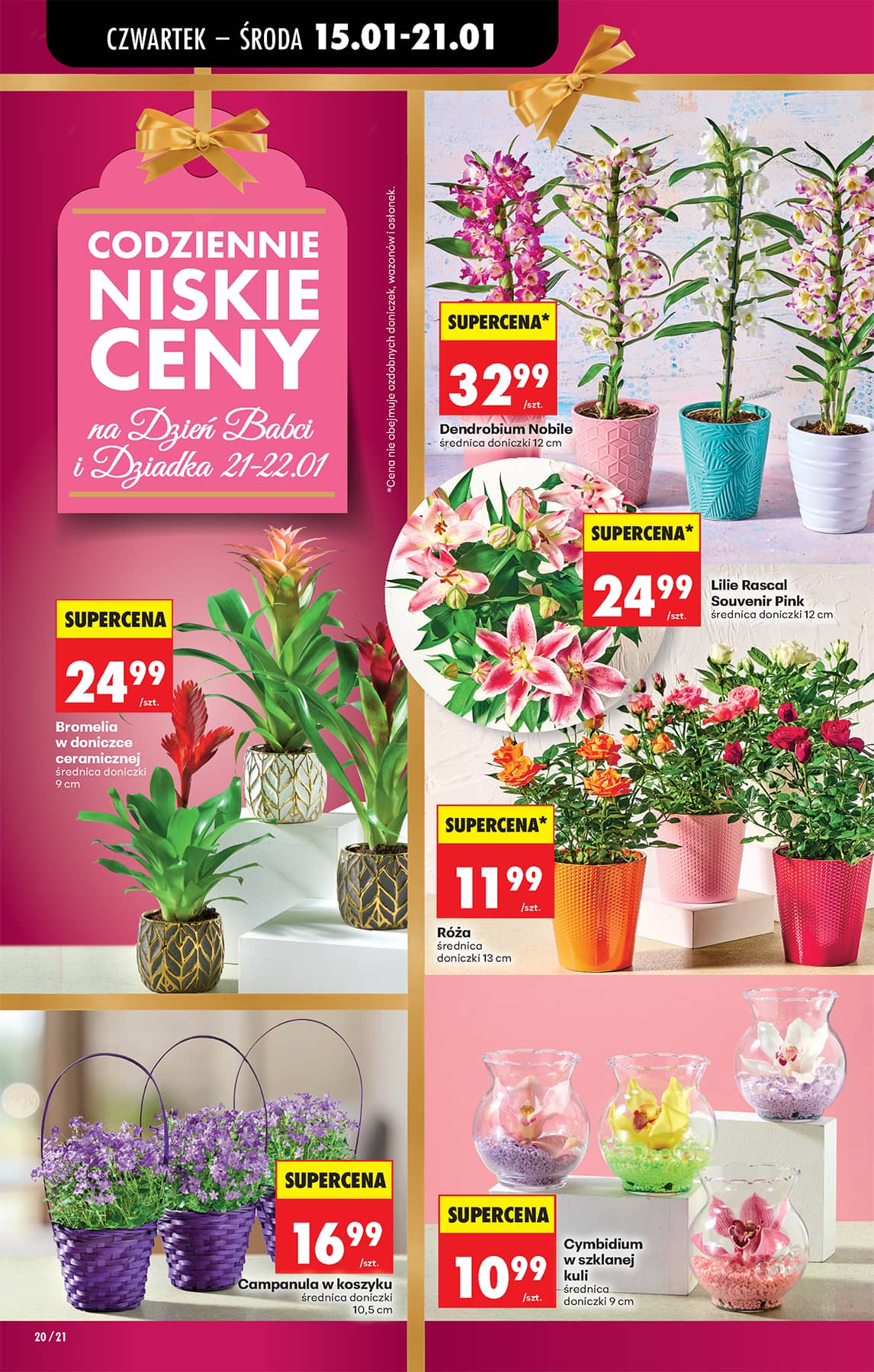 Biedronka - Codziennie niskie ceny P - oferta od 15.01 24 puslapis