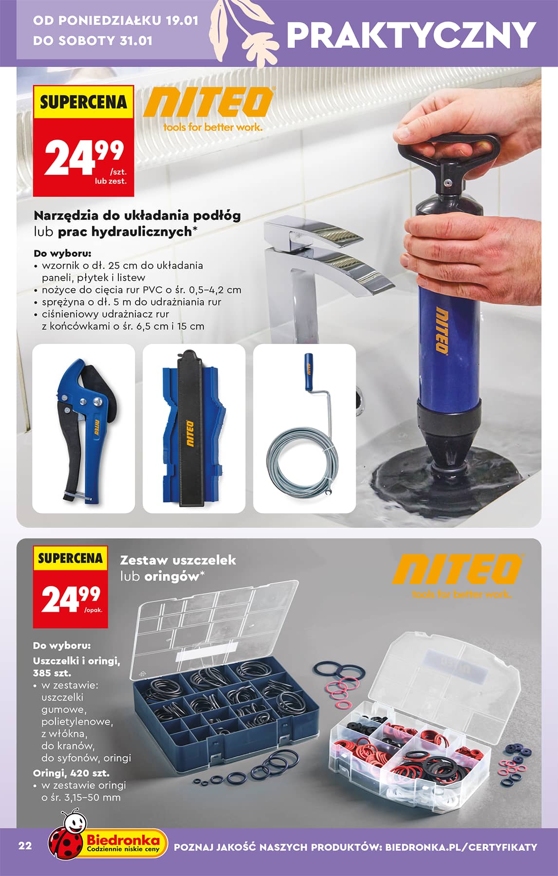 Biedronka - Hity i inspiracje - 17.01 24 puslapis