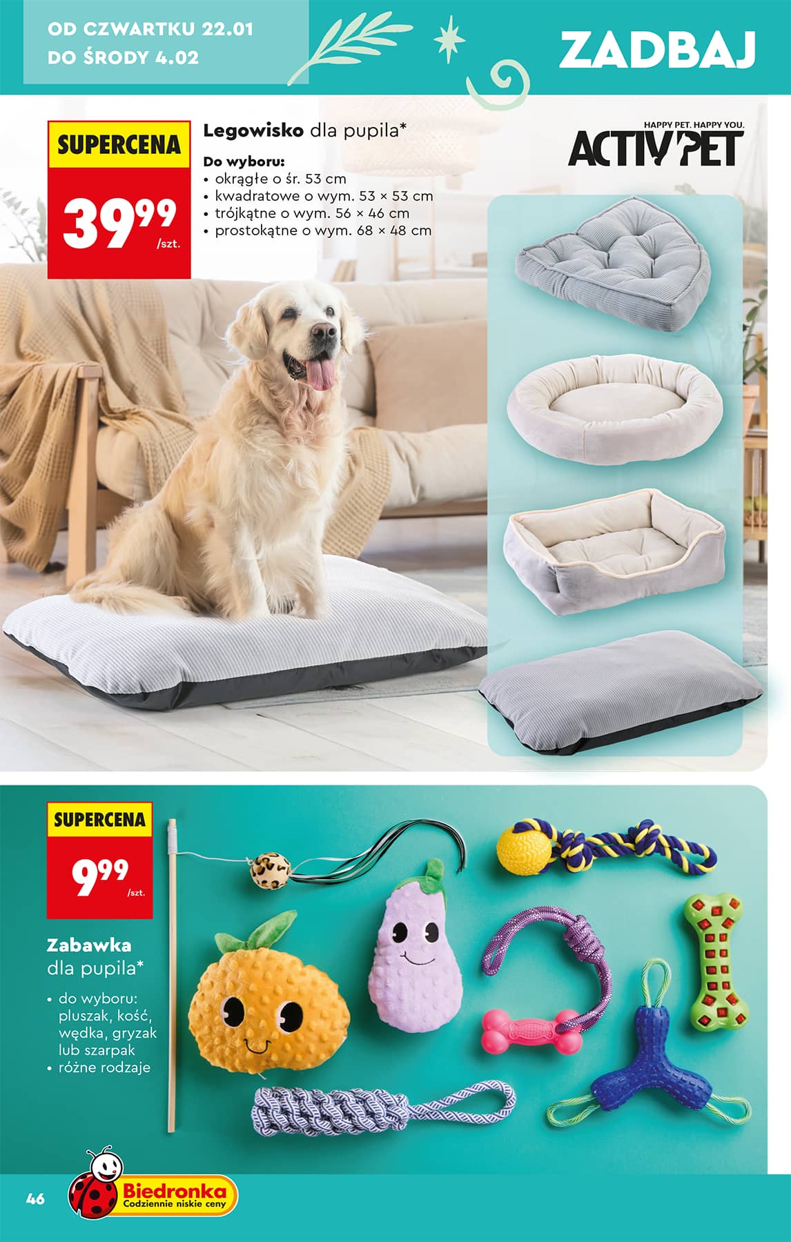 Biedronka - Hity i inspiracje - 17.01 48 puslapis