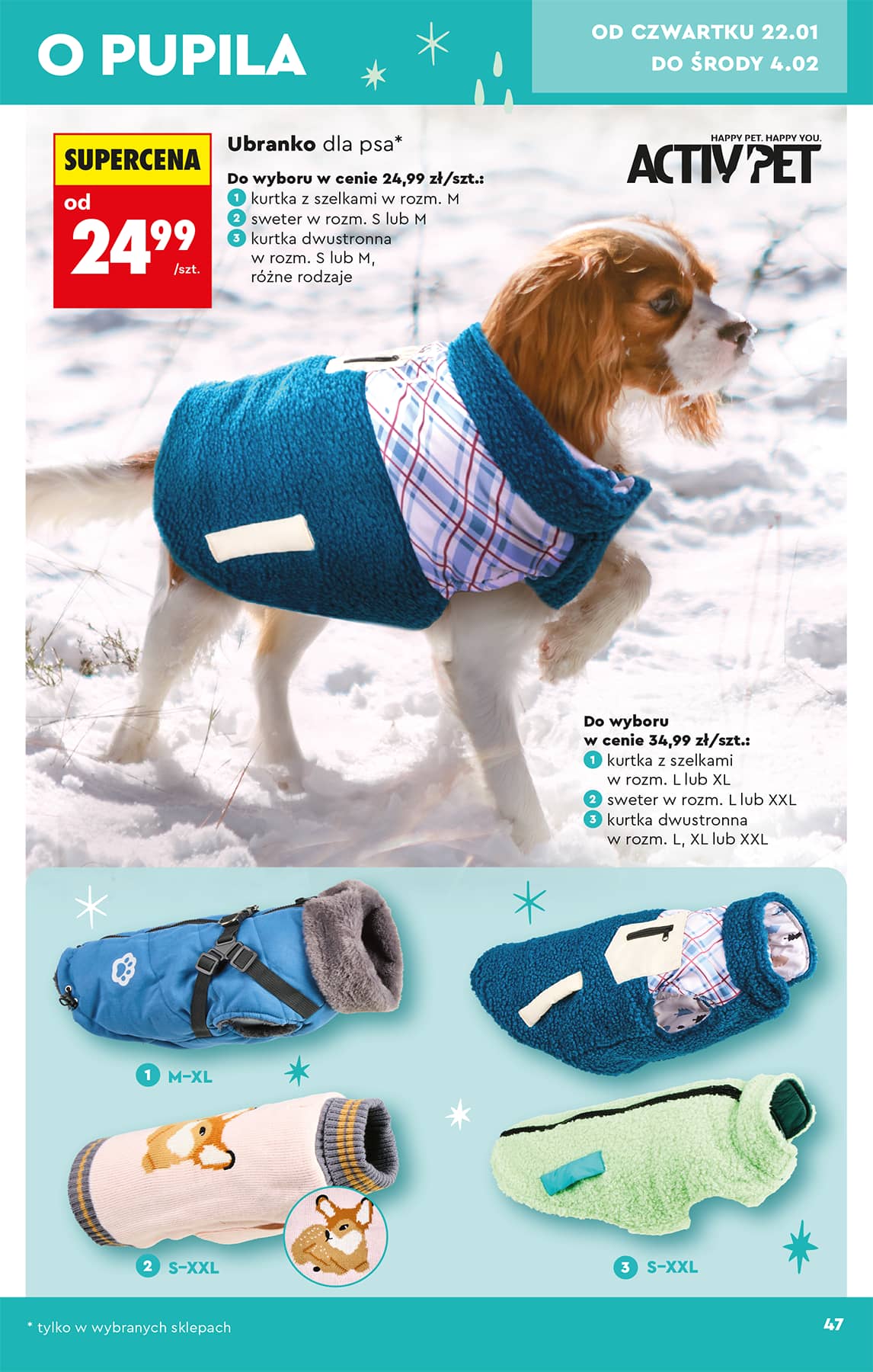 Biedronka - Hity i inspiracje - 17.01 49 puslapis