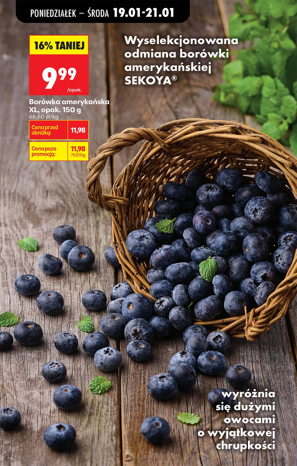 Biedronka - Codziennie niskie ceny P - oferta od 19.01 34 puslapis