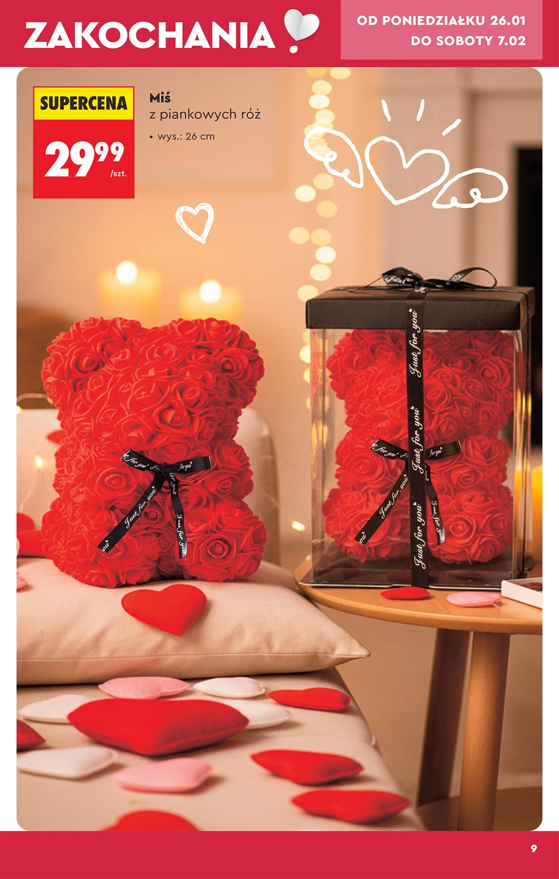 Biedronka - Hity i inspiracje - 24.01 11 puslapis