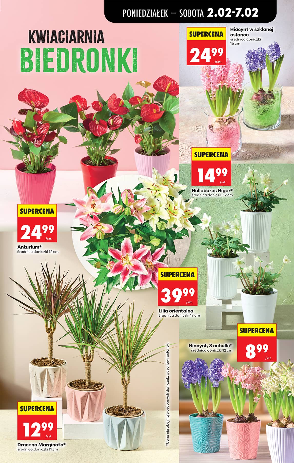 Biedronka - Codziennie niskie ceny P - oferta od 02.02 31 puslapis