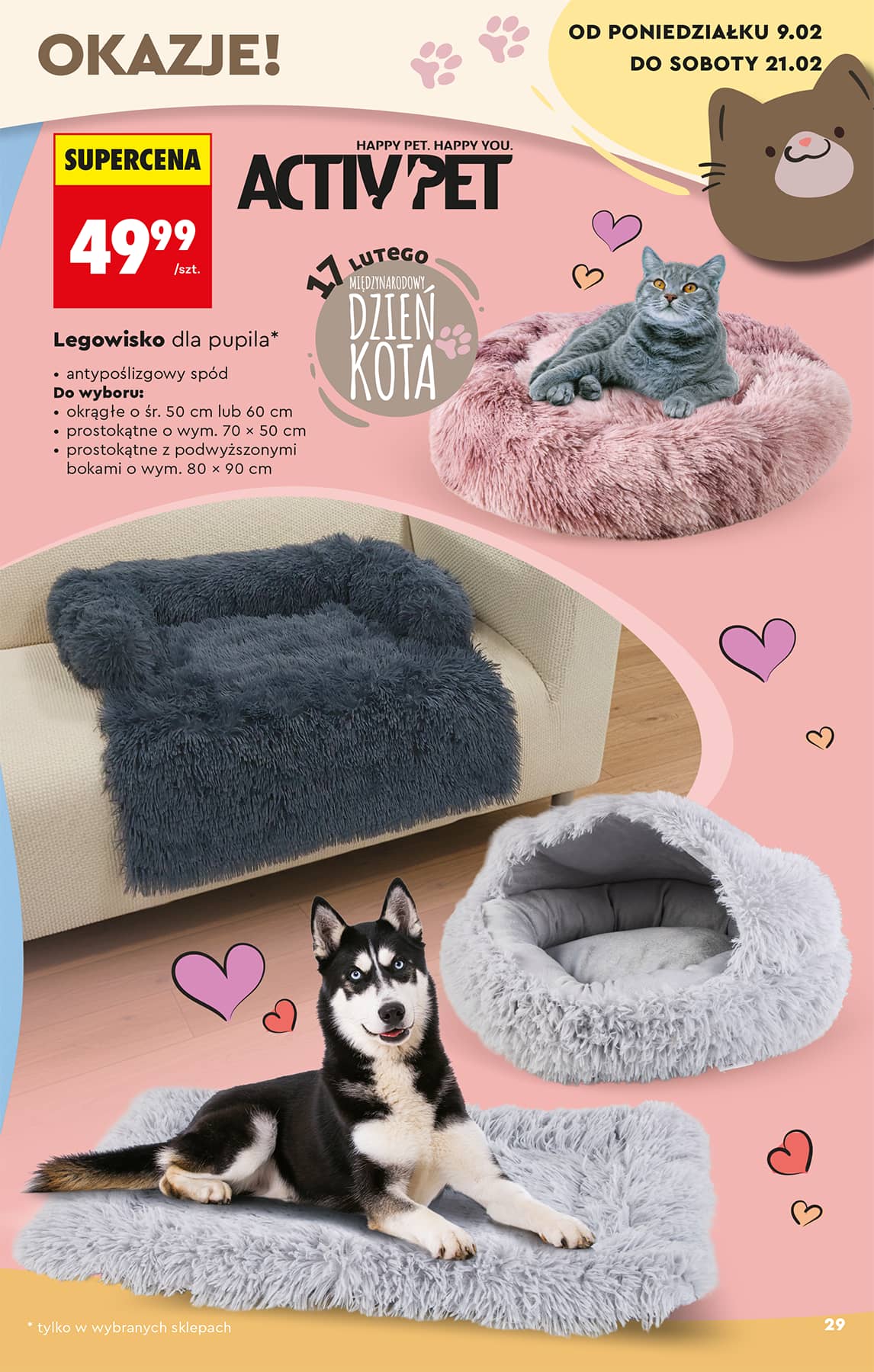 Biedronka - Hity i inspiracje - 07.02 31 puslapis