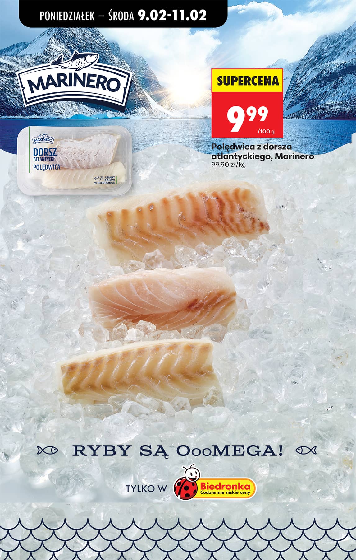 Biedronka - Codziennie niskie ceny P - oferta od 09.02 43 puslapis