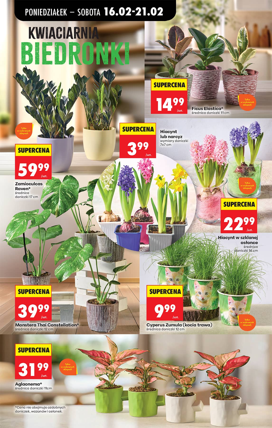 Biedronka - Codziennie niskie ceny P - oferta od 16.02 28 puslapis