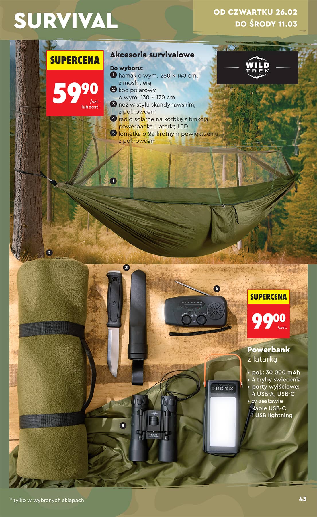 Biedronka - Hity i inspiracje - 21.02 45 puslapis