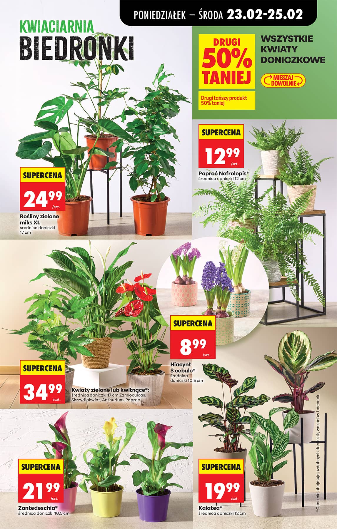 Biedronka - Codziennie niskie ceny P - oferta od 23.02 25 puslapis