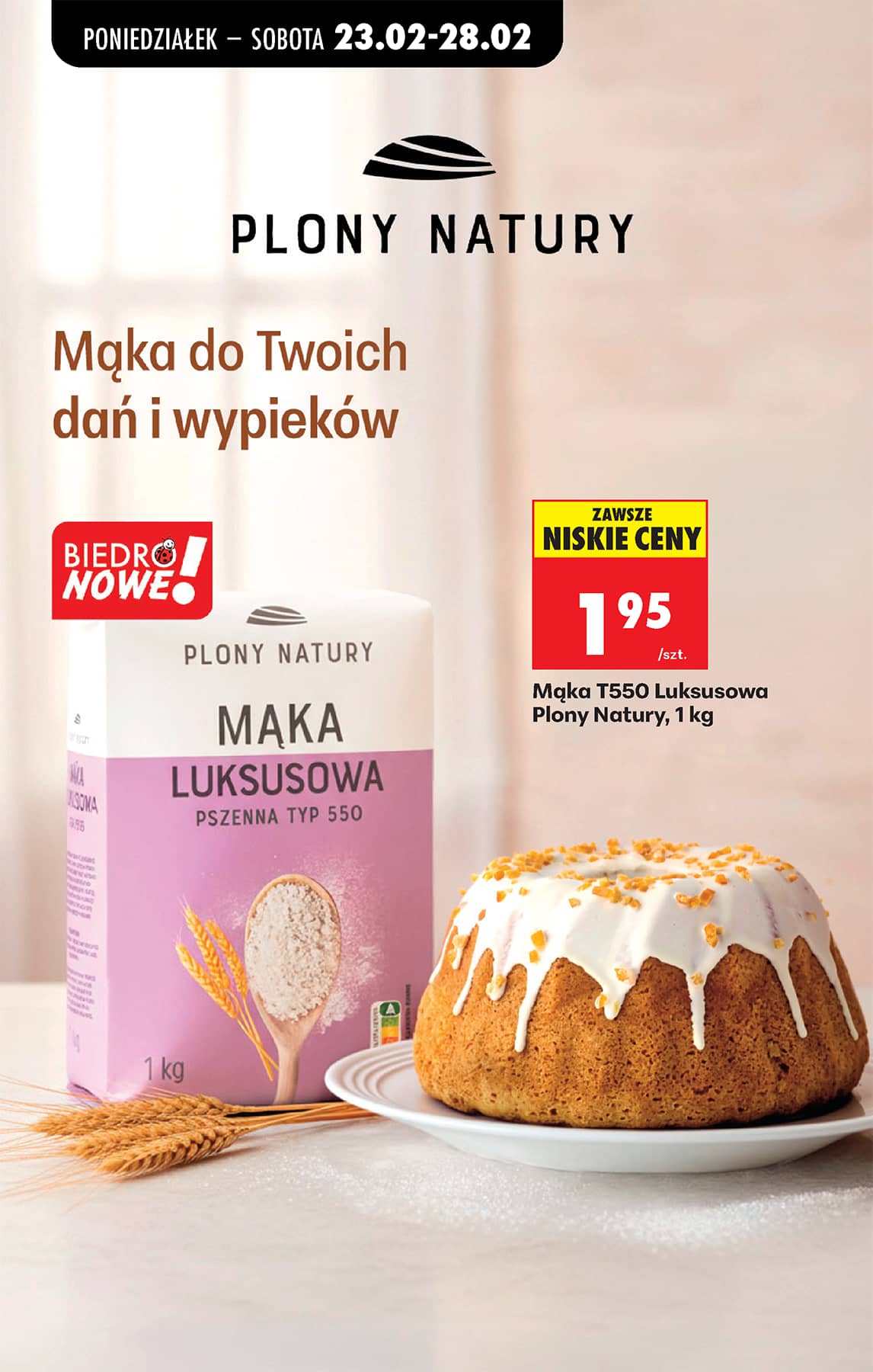Biedronka - Codziennie niskie ceny P - oferta od 23.02 53 puslapis