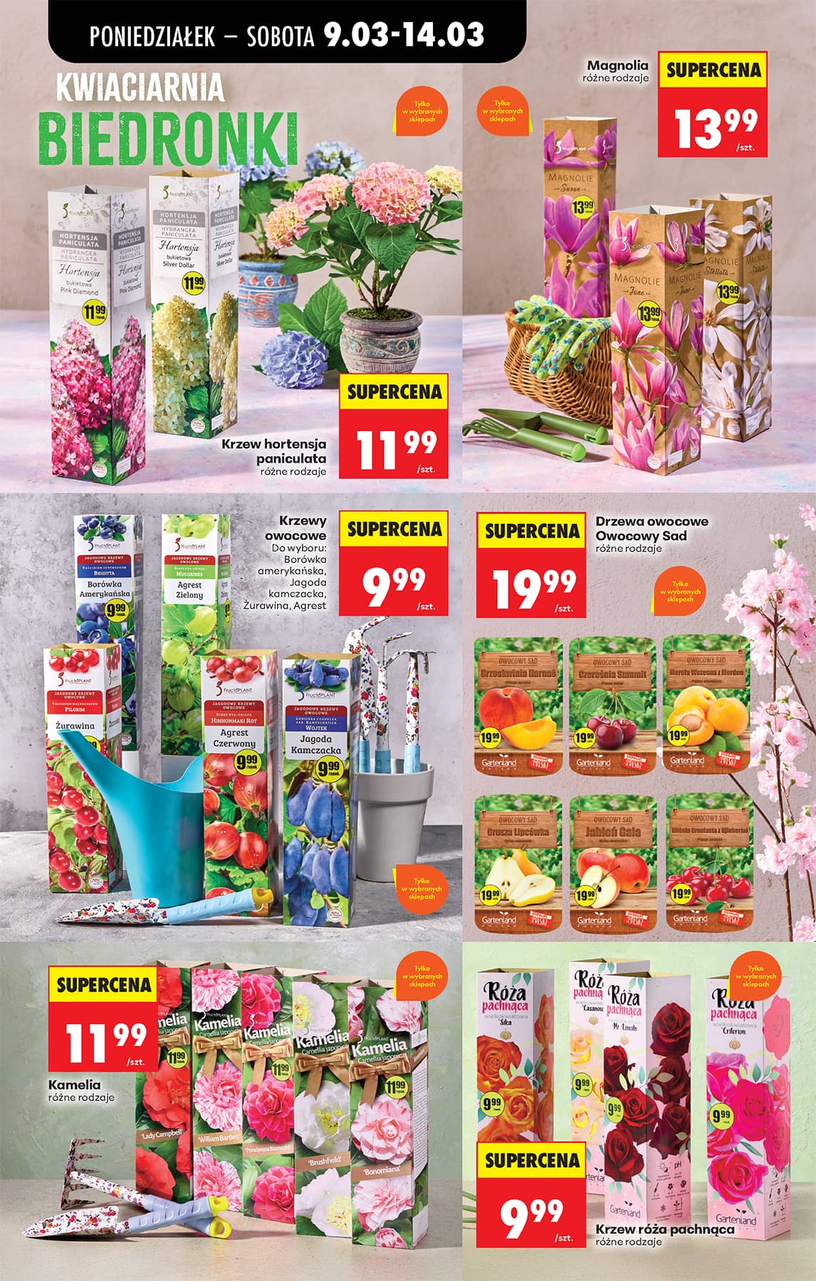 Biedronka - Codziennie niskie ceny P - oferta od 9.03 77 puslapis