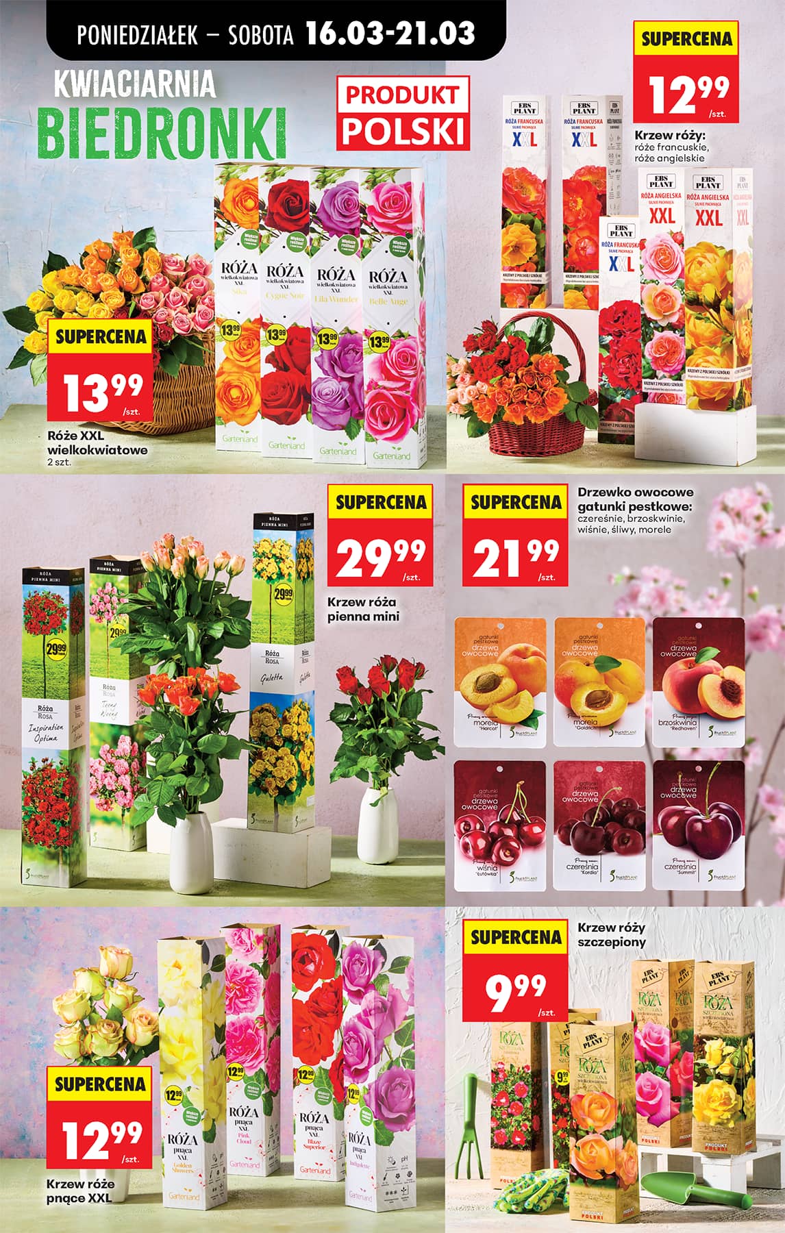 Biedronka - Codziennie niskie ceny P - oferta od 16.03 79 puslapis