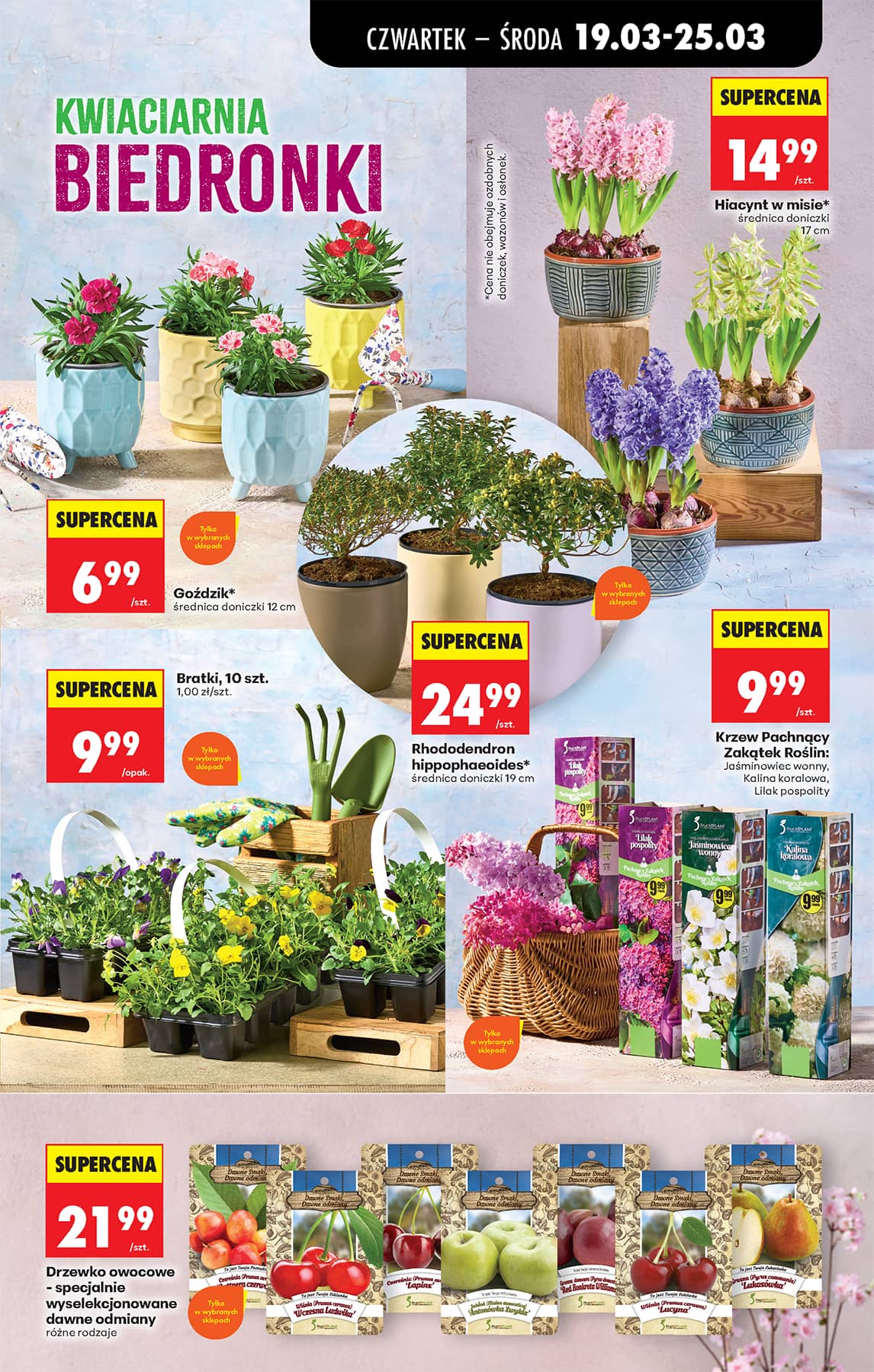 Biedronka - Codziennie niskie ceny P - oferta od 19.03 77 puslapis