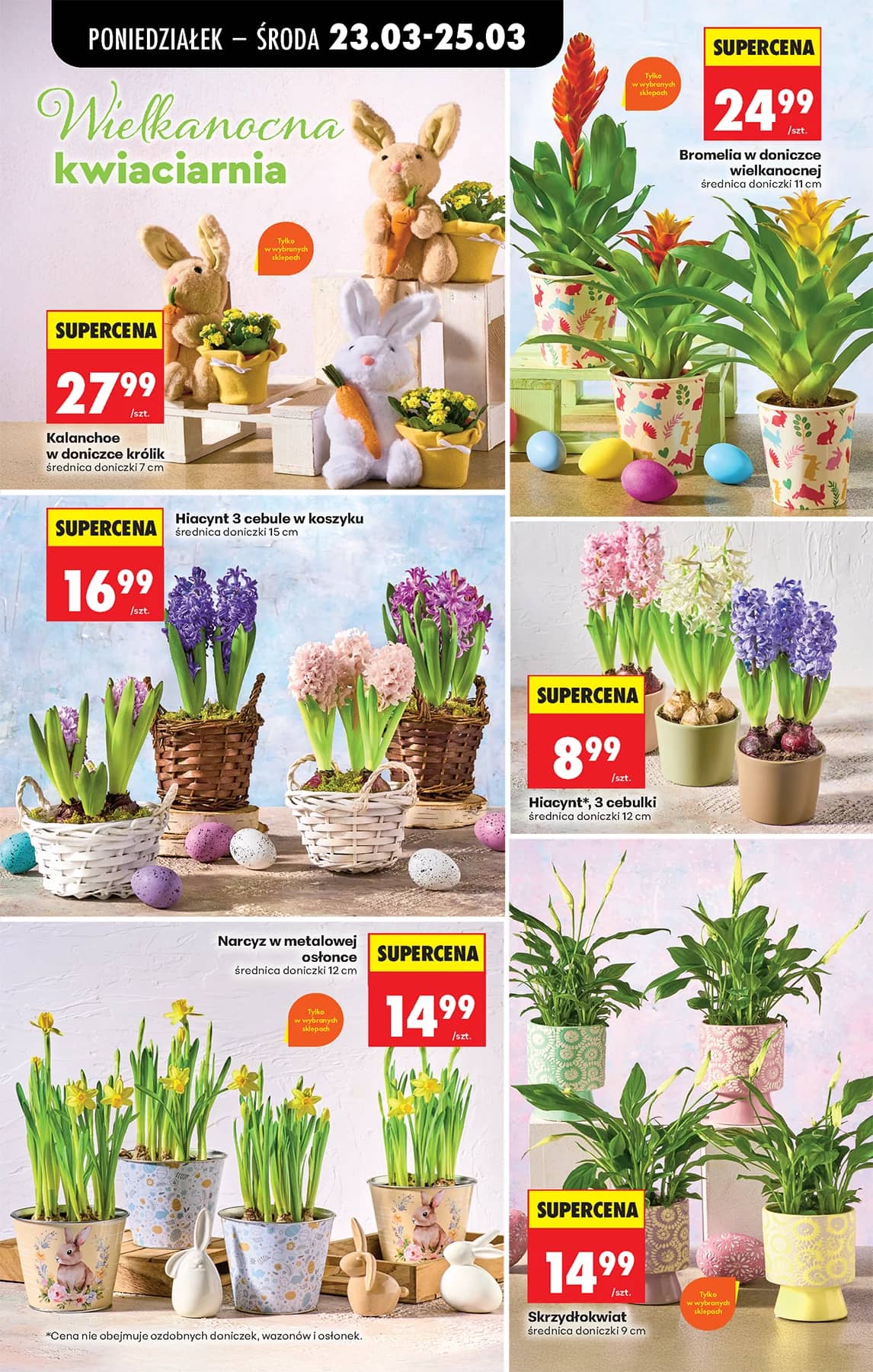 Biedronka - Codziennie niskie ceny P - oferta od 23.03 13 puslapis