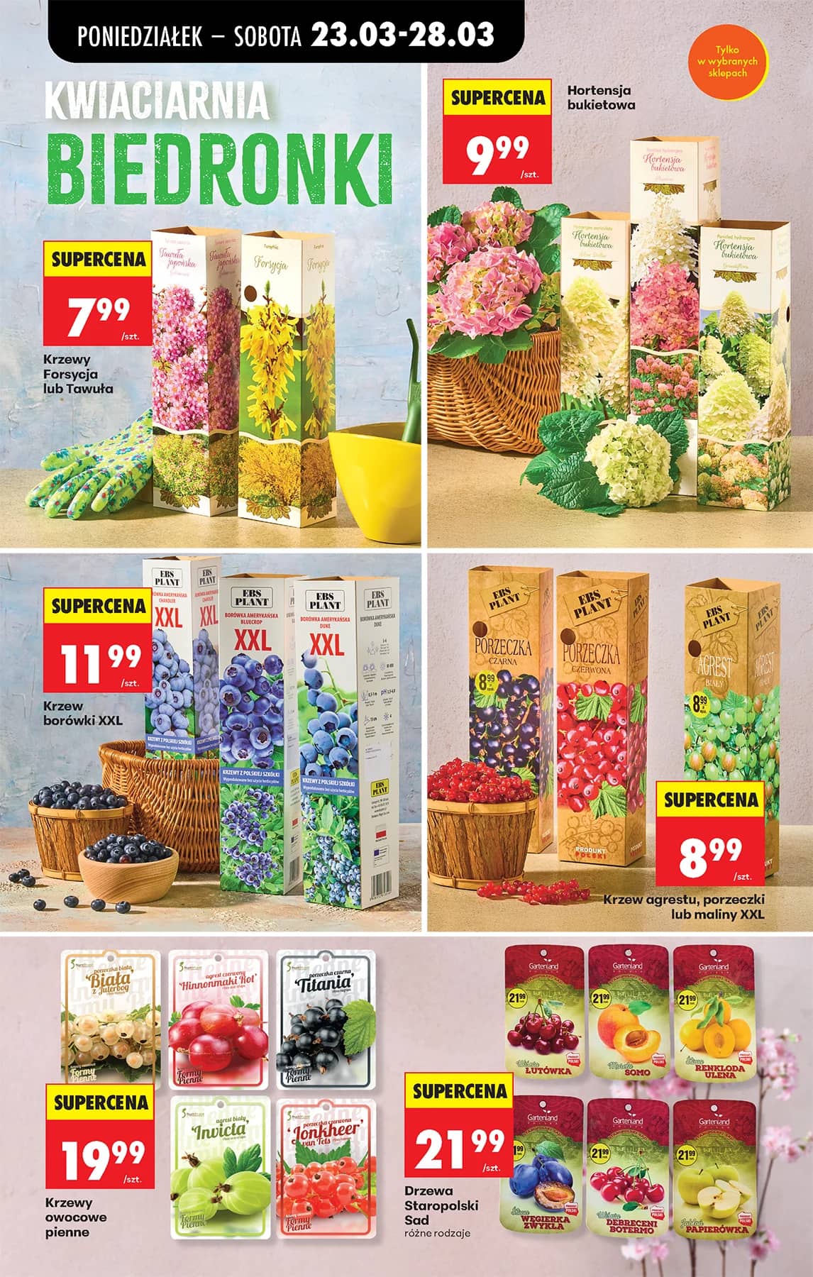 Biedronka - Codziennie niskie ceny P - oferta od 23.03 14 puslapis