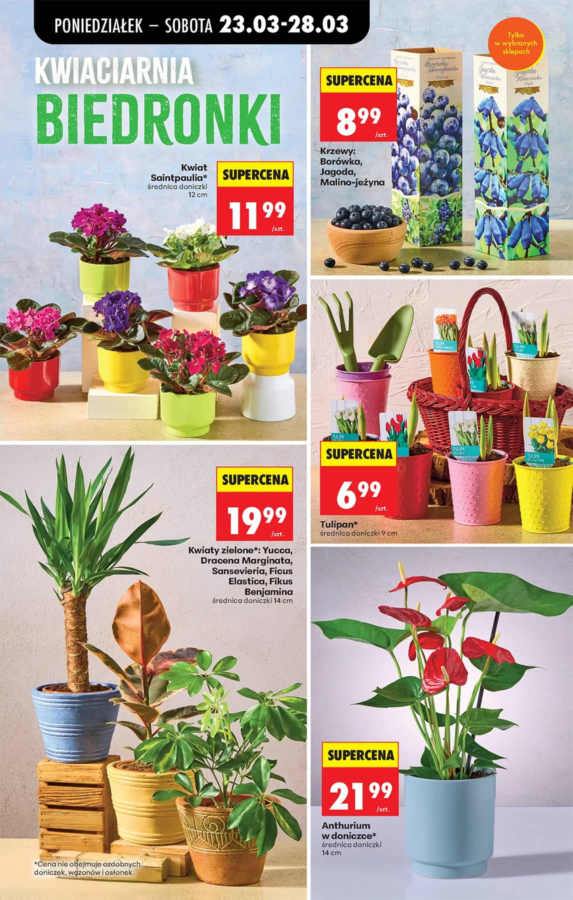 Biedronka - Codziennie niskie ceny P - oferta od 23.03 15 puslapis