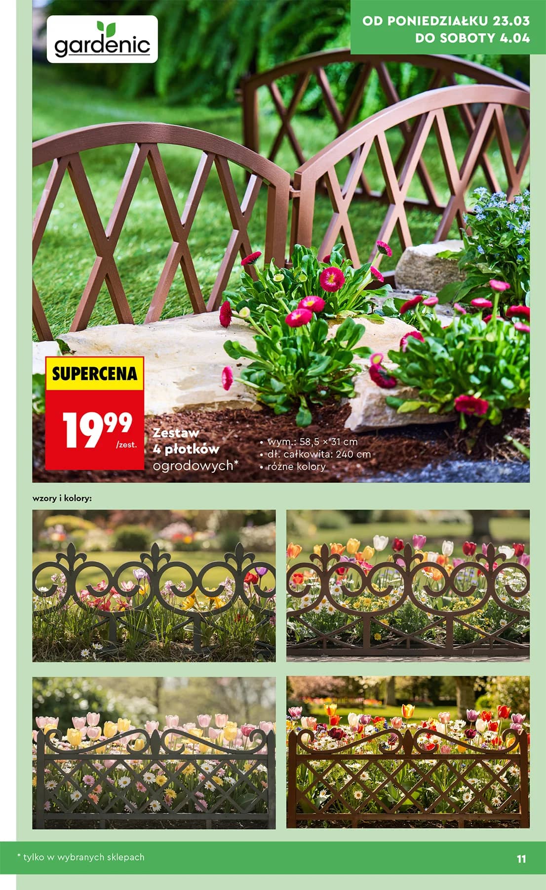 Biedronka - Ogród od 23.03 11 puslapis