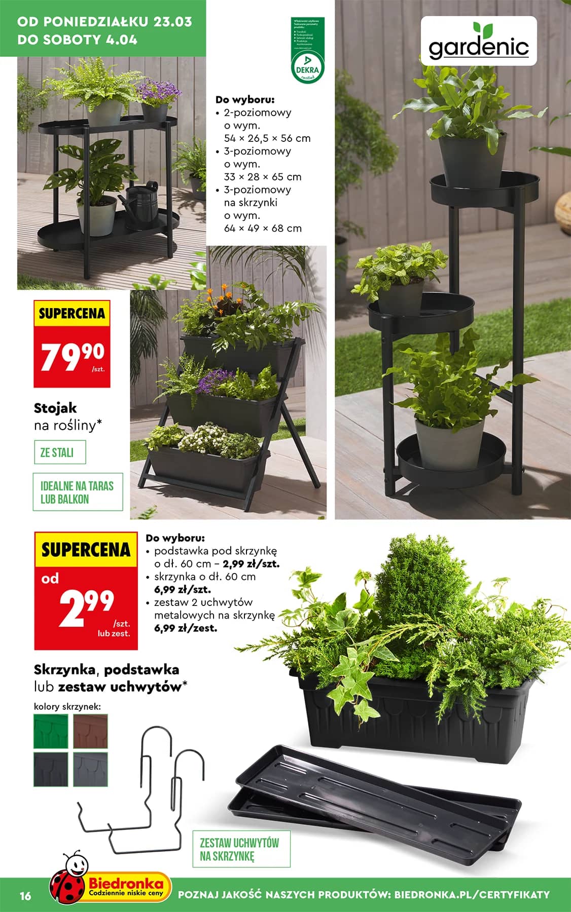 Biedronka - Ogród od 23.03 16 puslapis