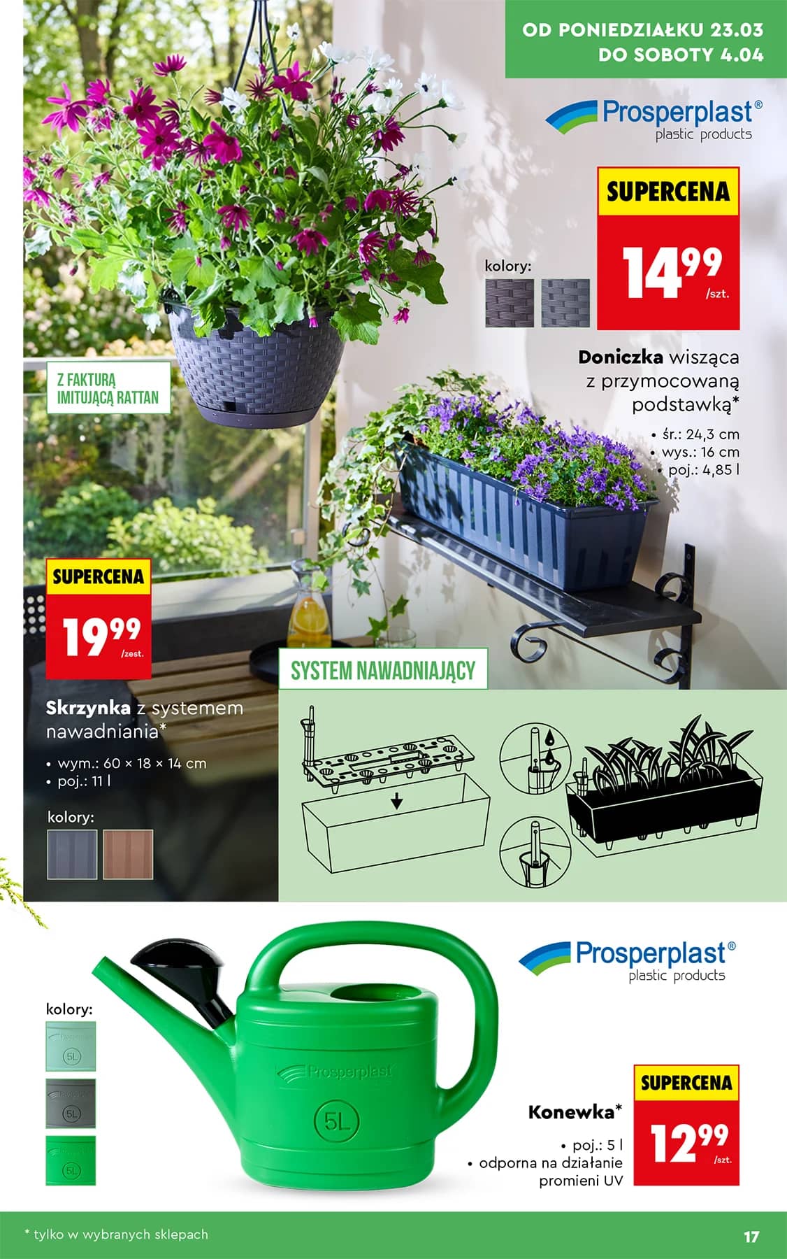 Biedronka - Ogród od 23.03 17 puslapis