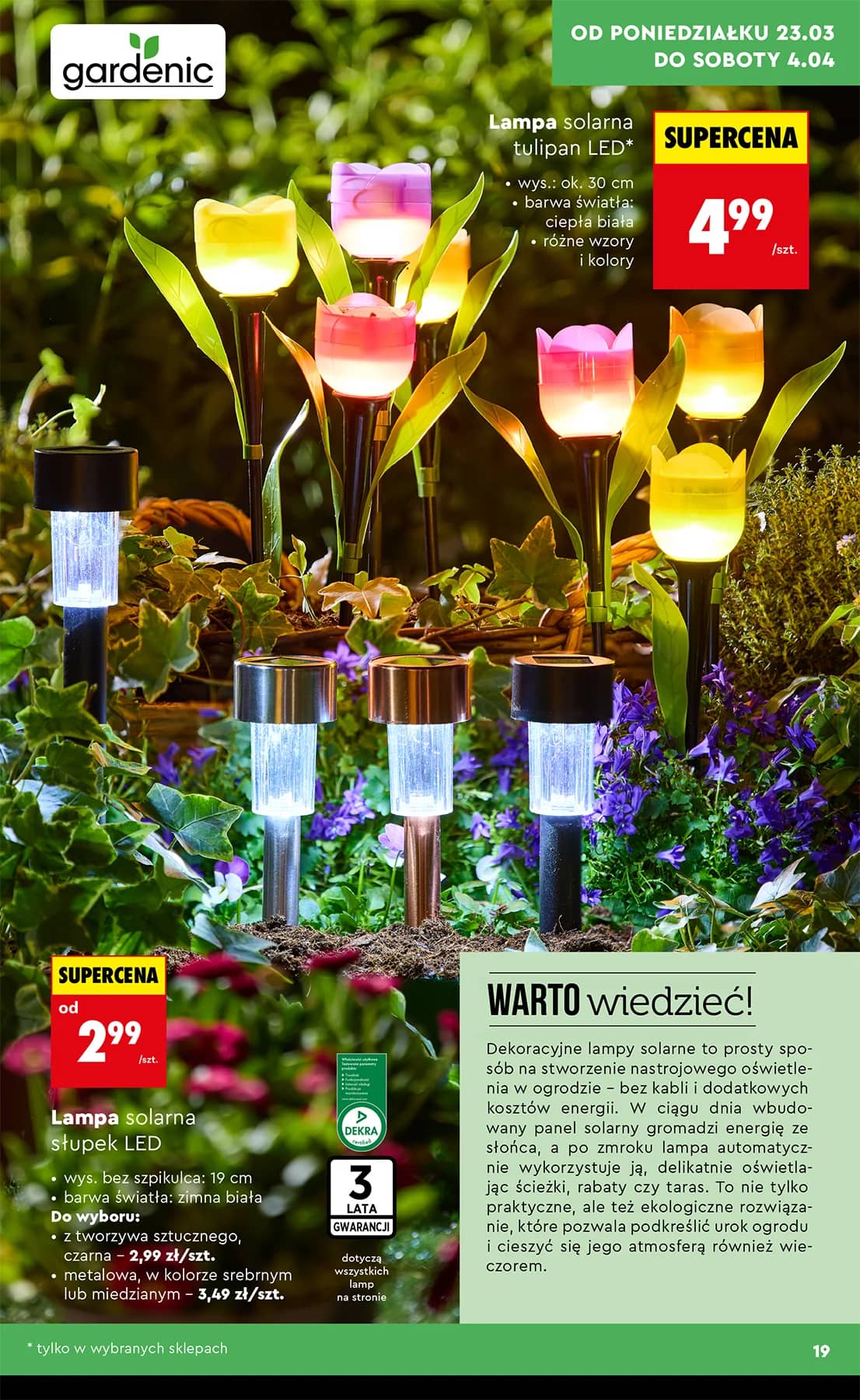 Biedronka - Ogród od 23.03 19 puslapis