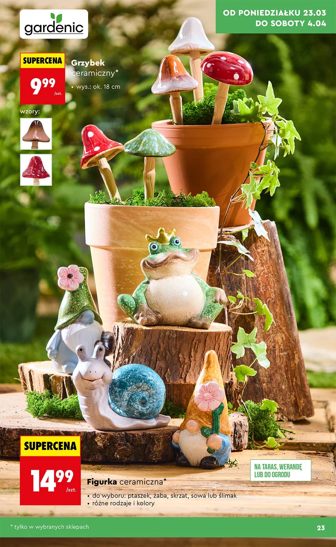 Biedronka - Ogród od 23.03 23 puslapis